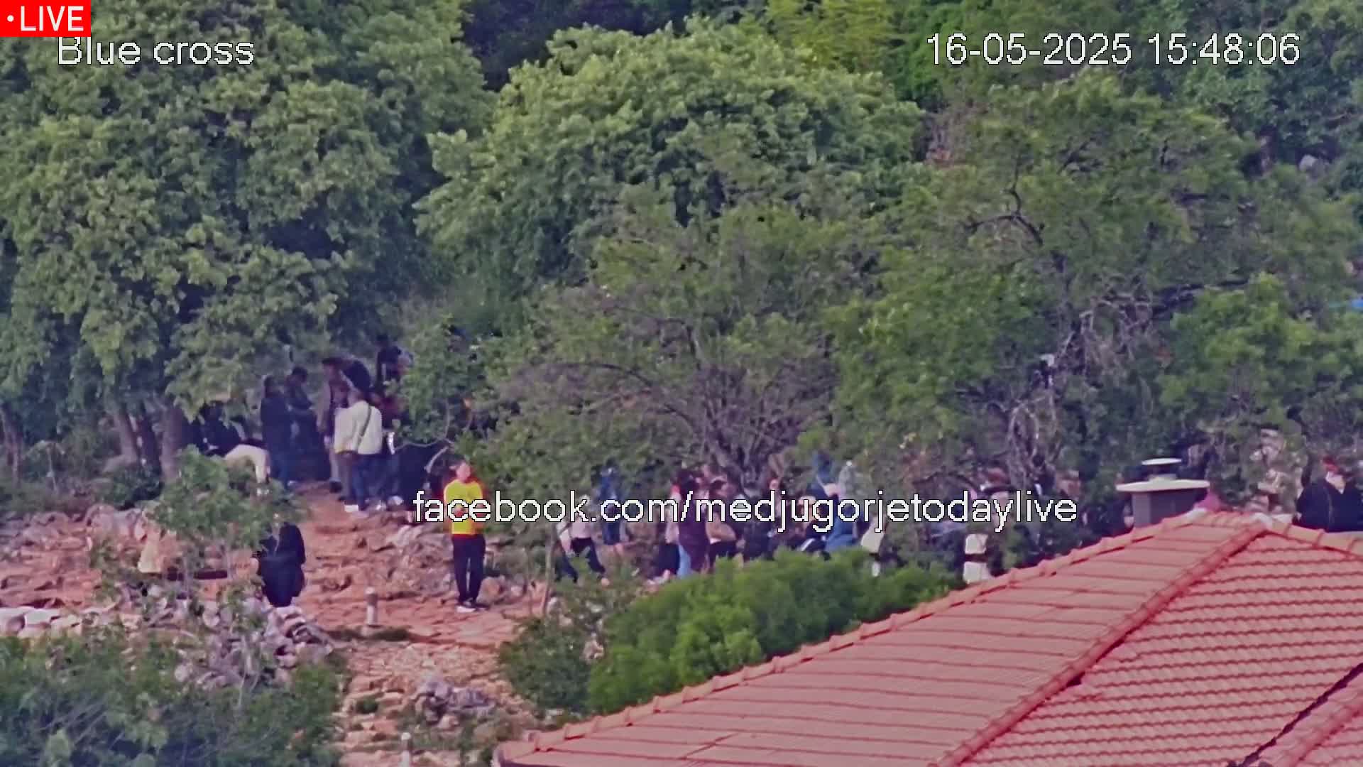 A group of people gathers outdoors on a rocky, tree-covered hillside on a partly sunny day.