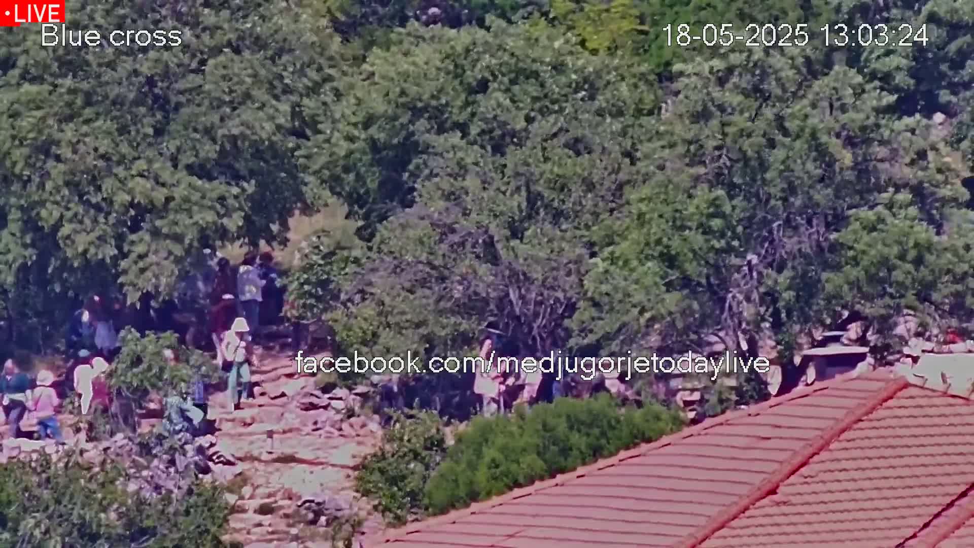 A group of people are gathered on a rocky path surrounded by lush green trees on a sunny day.