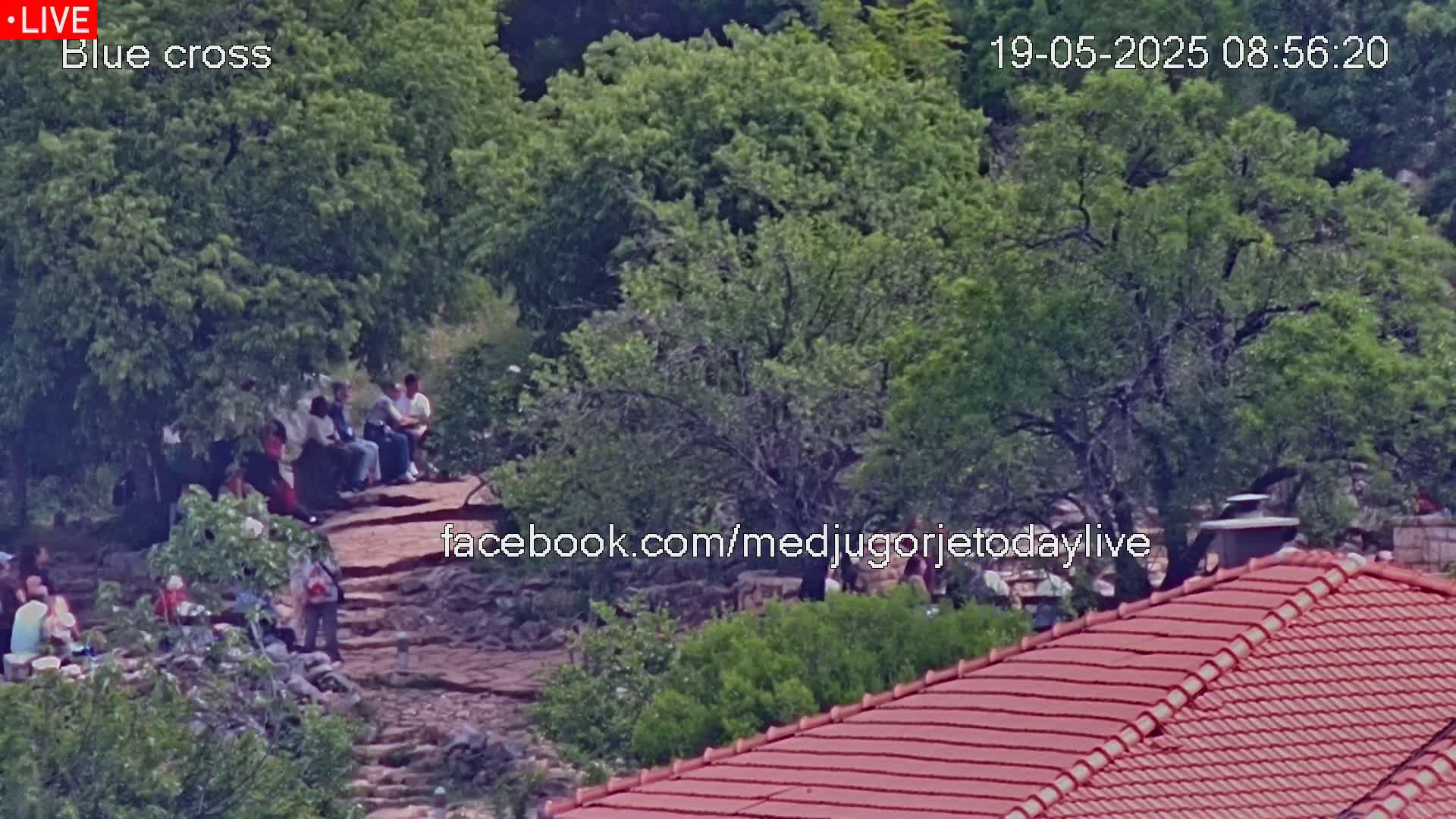 A group of people sits on a stone pathway under leafy green trees on a sunny day.