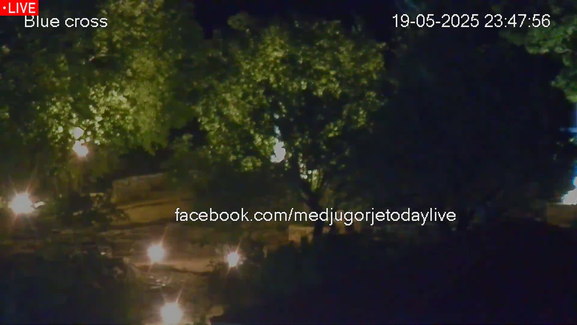 At night, several lights illuminate leafy green trees and a dark, paved area.