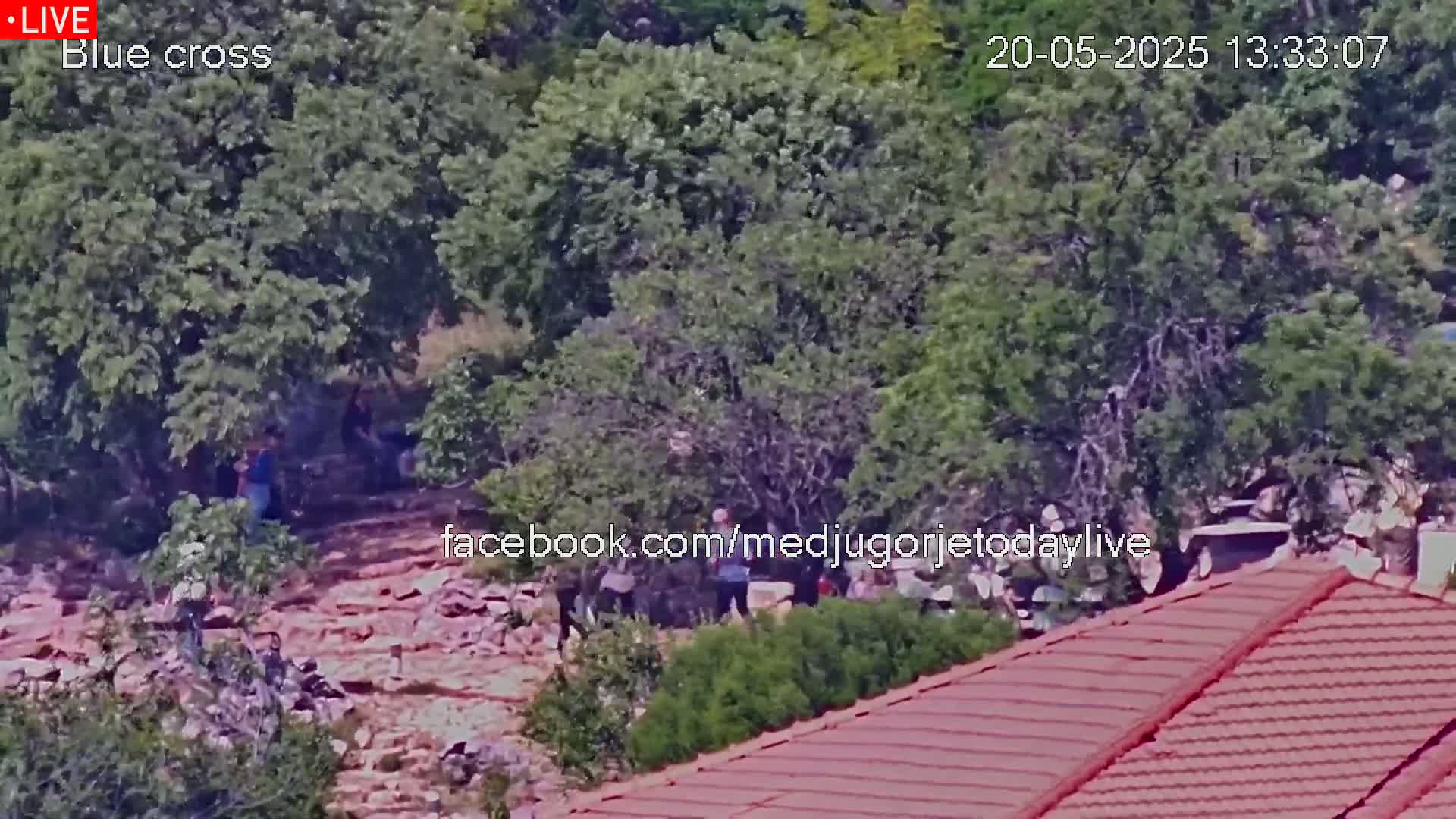 A high-angle, long shot shows a group of people gathered among leafy green trees on a sunny day, with a red-tiled roof in the foreground.