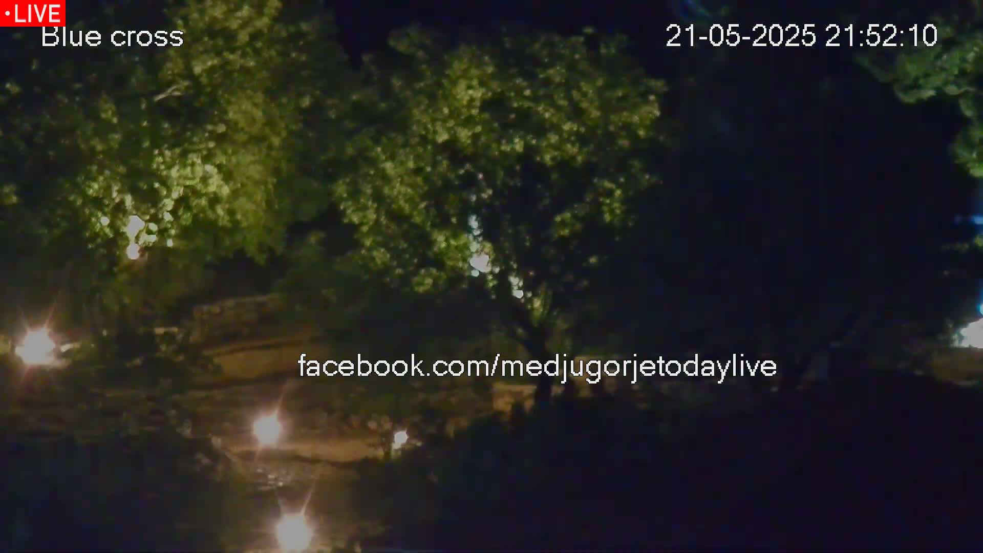 A nighttime, low-light view shows leafy green trees illuminated by several small lights, along with a dark, possibly paved area beneath them.