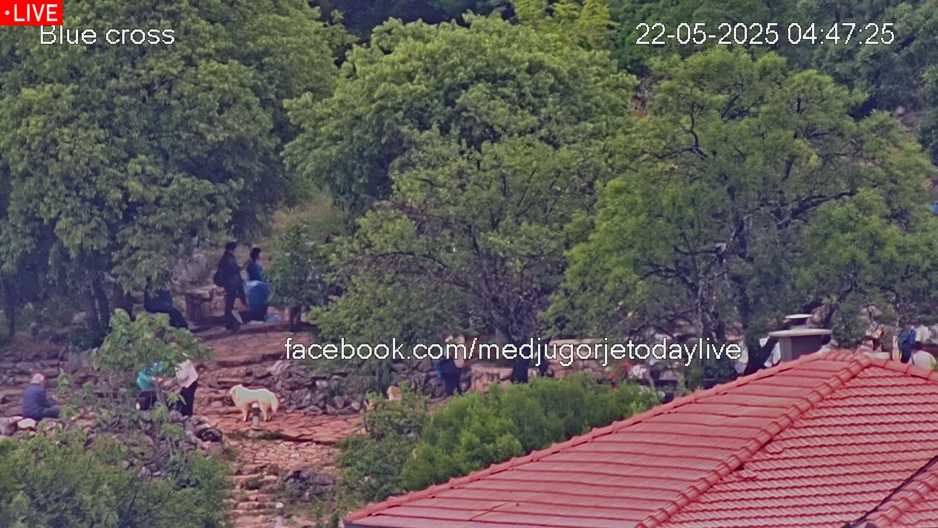 A group of people are gathered outdoors on a rocky path amidst leafy green trees under a partly sunny sky.