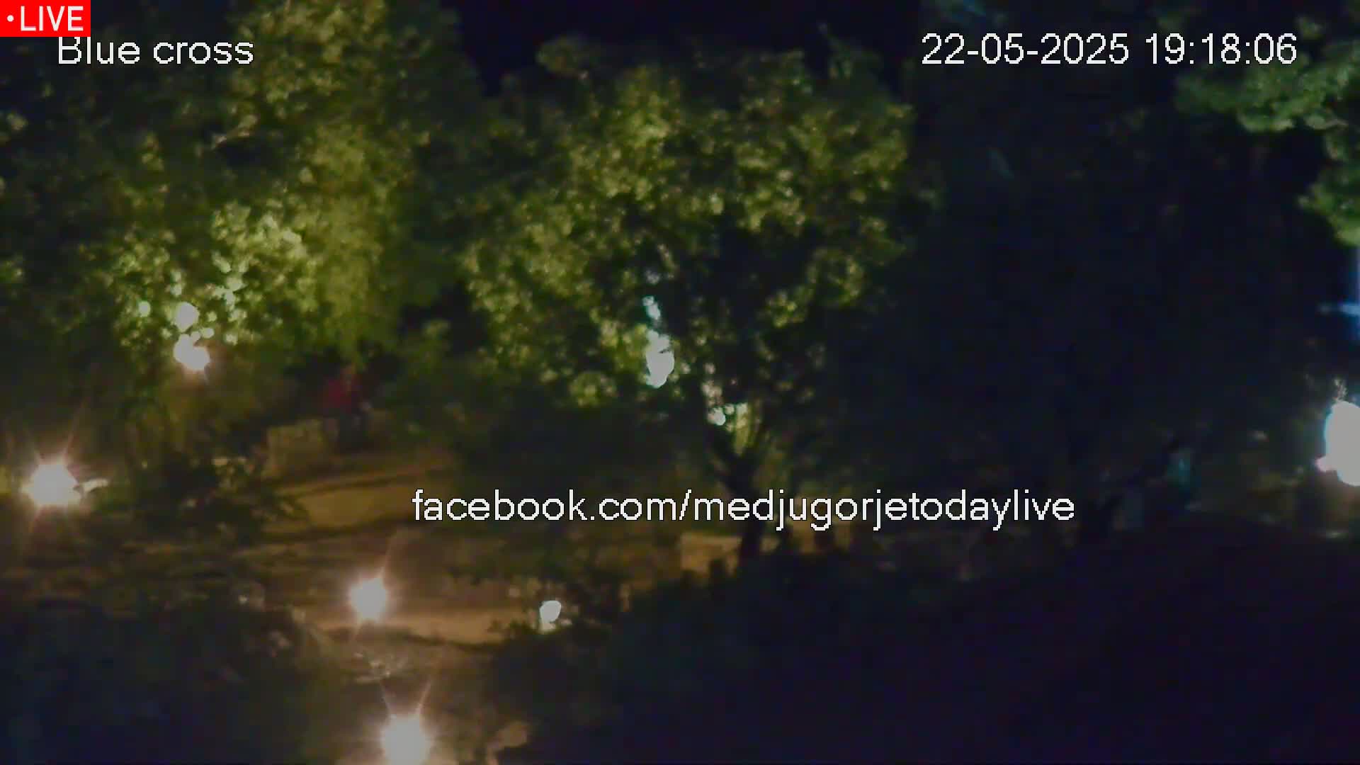 A nighttime outdoor scene shows dimly lit trees and a path with some people visible in the distance.