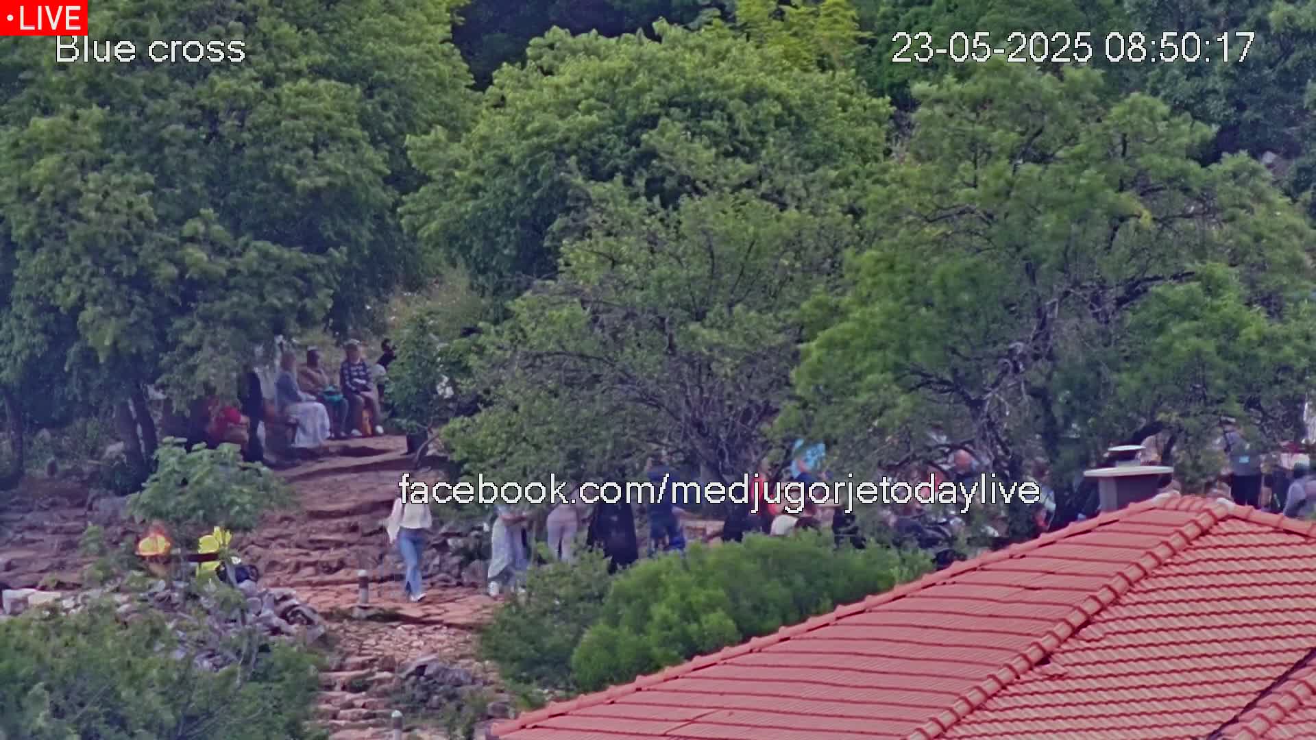 A group of people are gathered on a rocky path among leafy green trees on a partly sunny day.