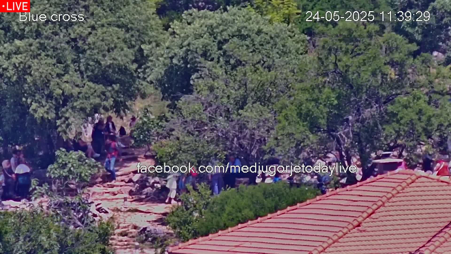 A group of people are gathered on a stone path amidst lush green trees on a sunny day.