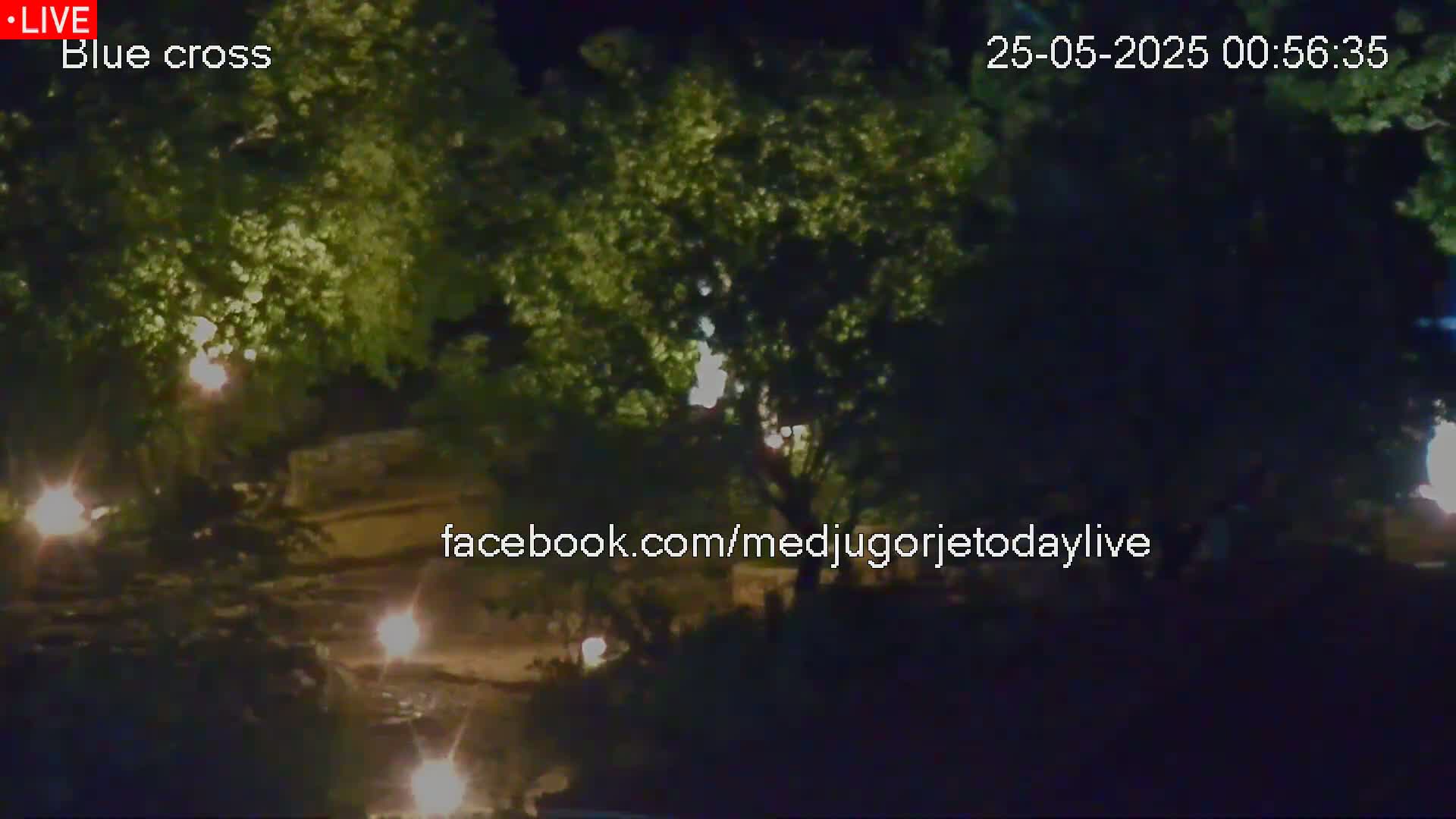 A nighttime, low-light view shows leafy trees illuminated by several small lights along a path.