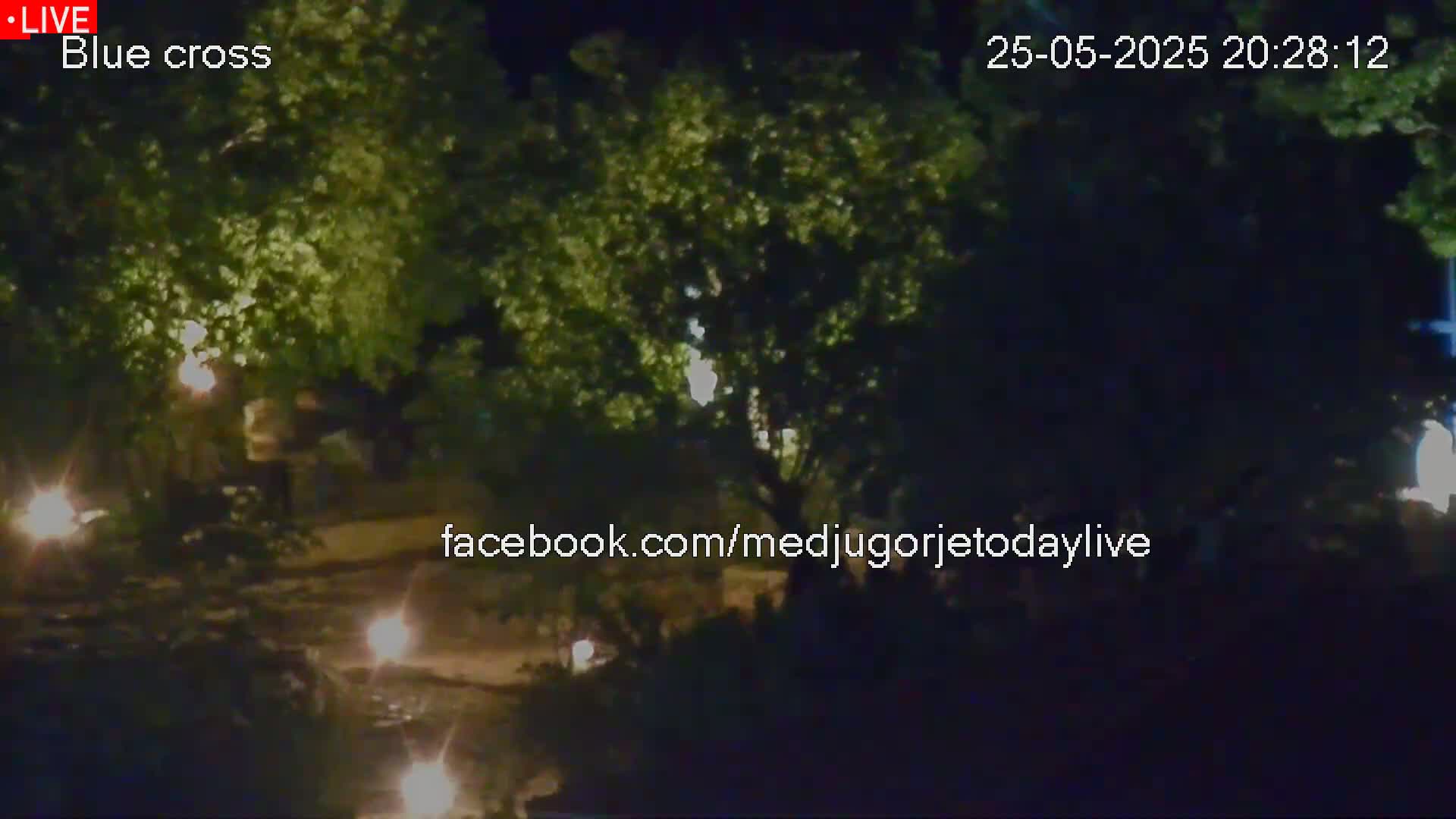 A nighttime, low-light view of a path or road partially obscured by trees and illuminated by scattered lights.
