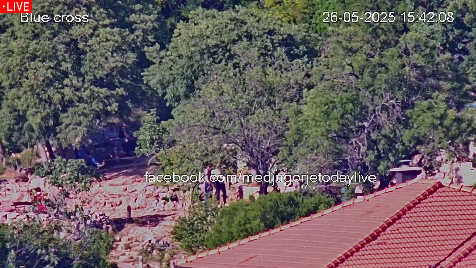 A high-angle, long shot shows a group of people gathered among leafy green trees and a rocky area, with a red-tiled roof in the foreground on a sunny day.