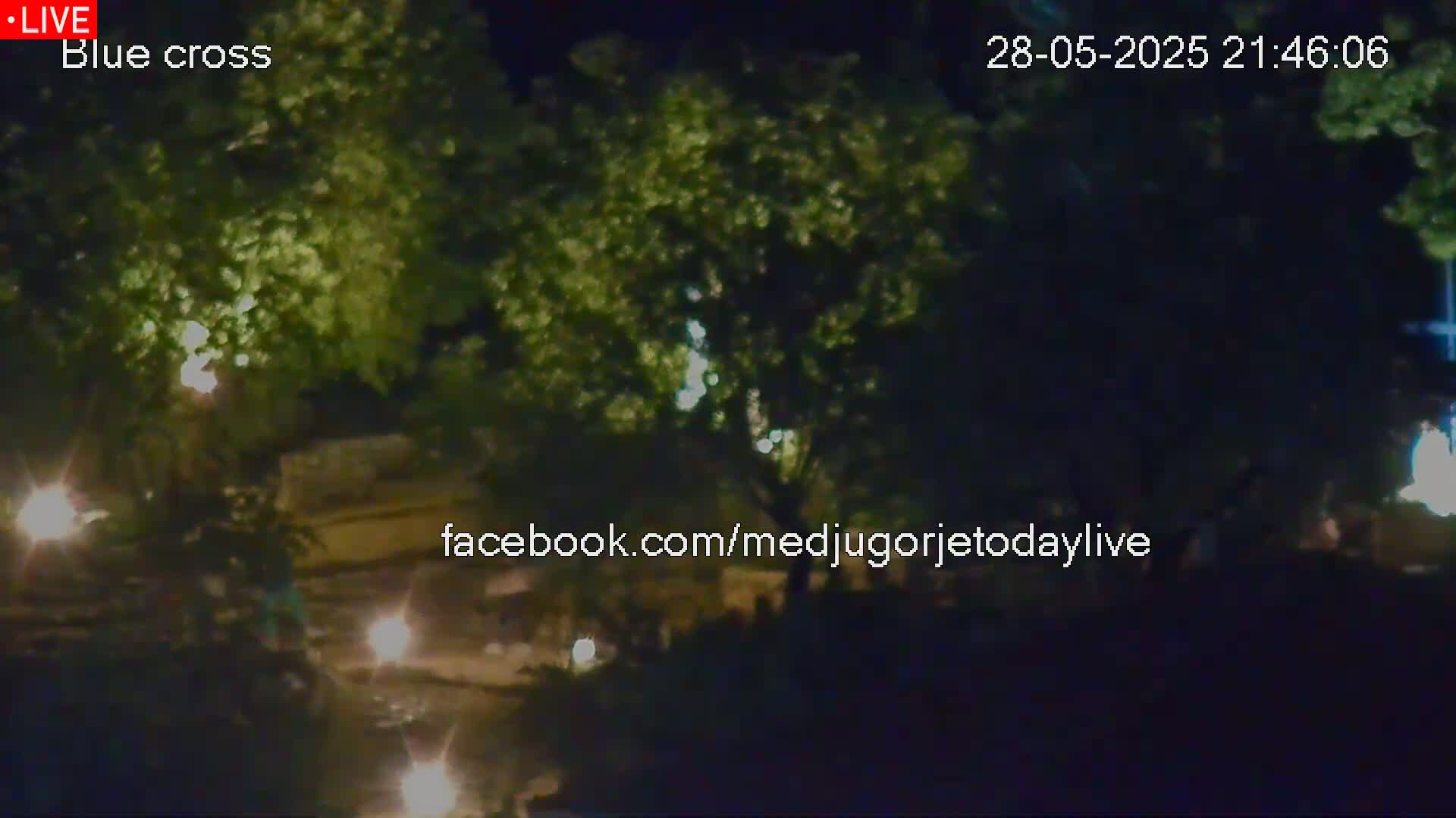 A nighttime, low-light view of leafy trees and indistinct figures in a dimly lit area.