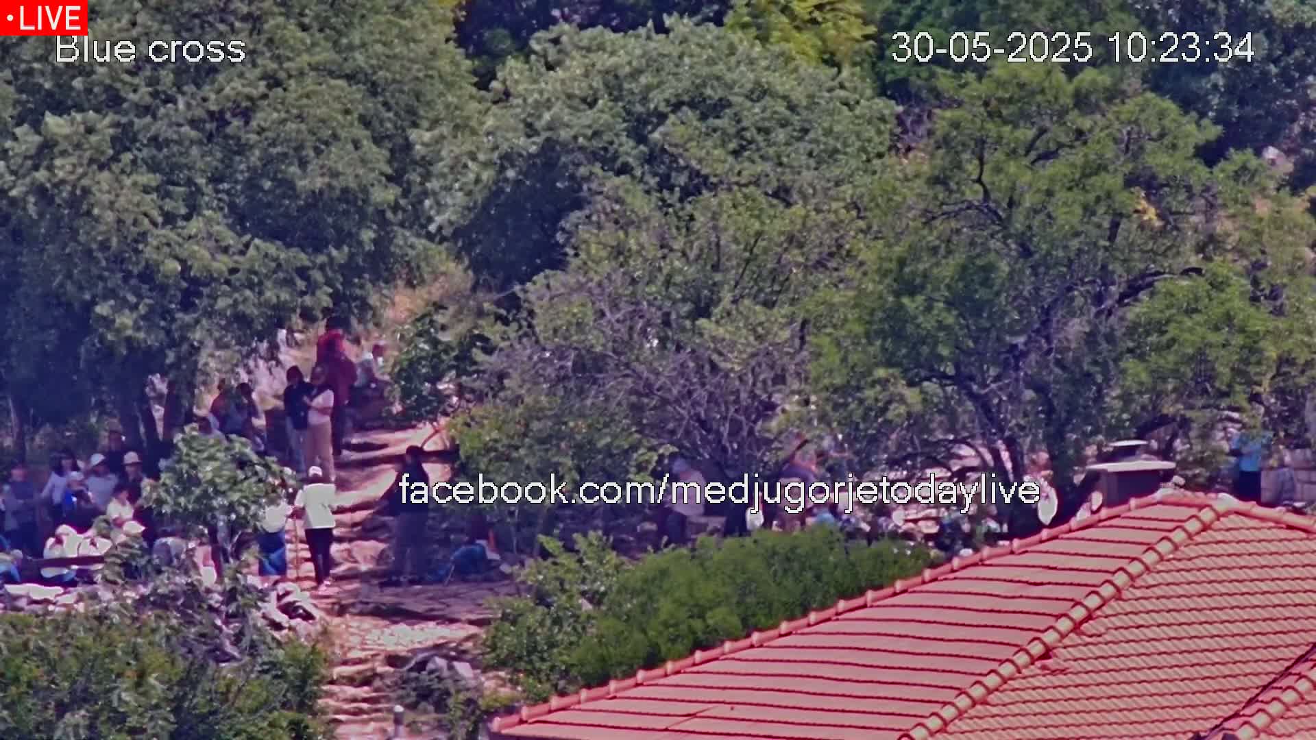 A group of people are gathered outdoors on a sunny day among leafy green trees and stone pathways, near a red-tiled roof.