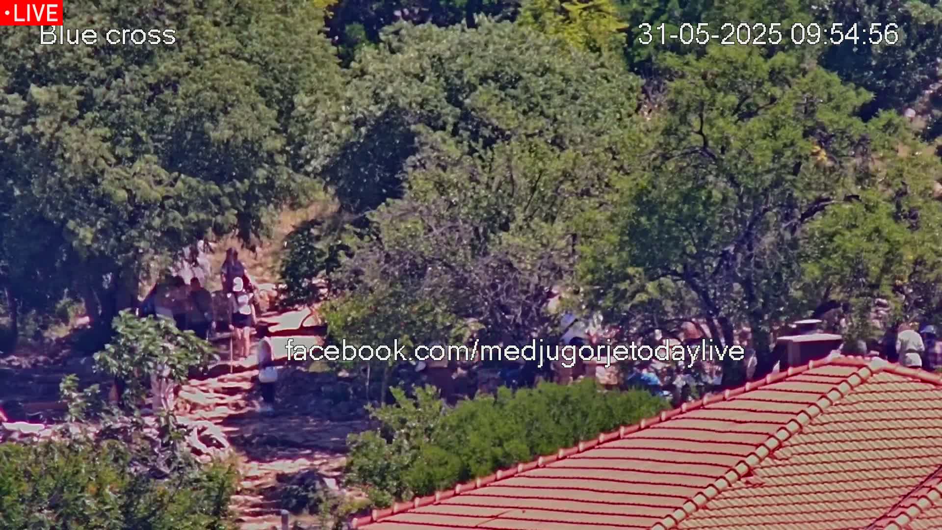 A sunny outdoor scene shows a group of people gathered near some structures among lush green trees and a reddish-brown tiled roof.