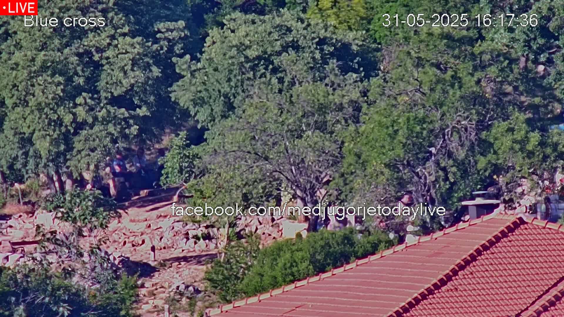 A pile of rubble is visible amidst lush green trees and a reddish-brown tiled roof, under a sunny sky.