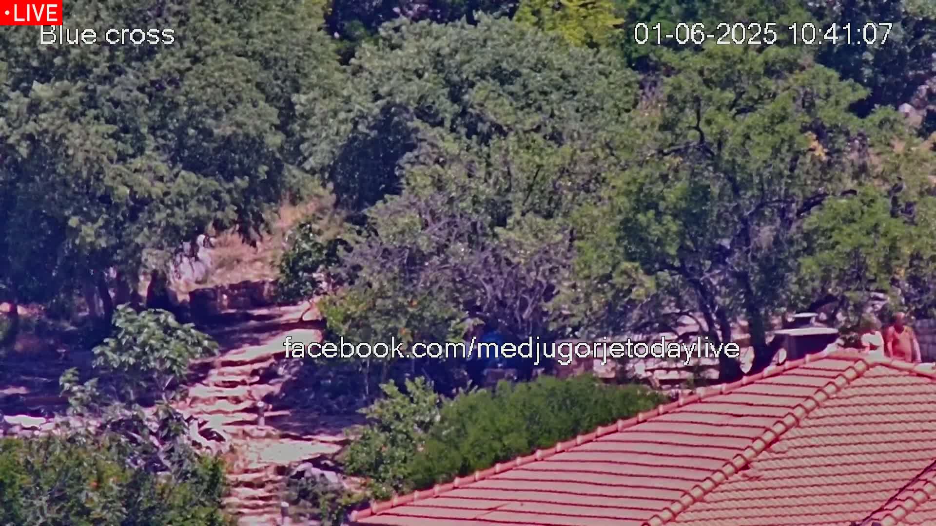 A stone staircase winds through a leafy hillside on a sunny day, leading to a building with a terracotta roof.