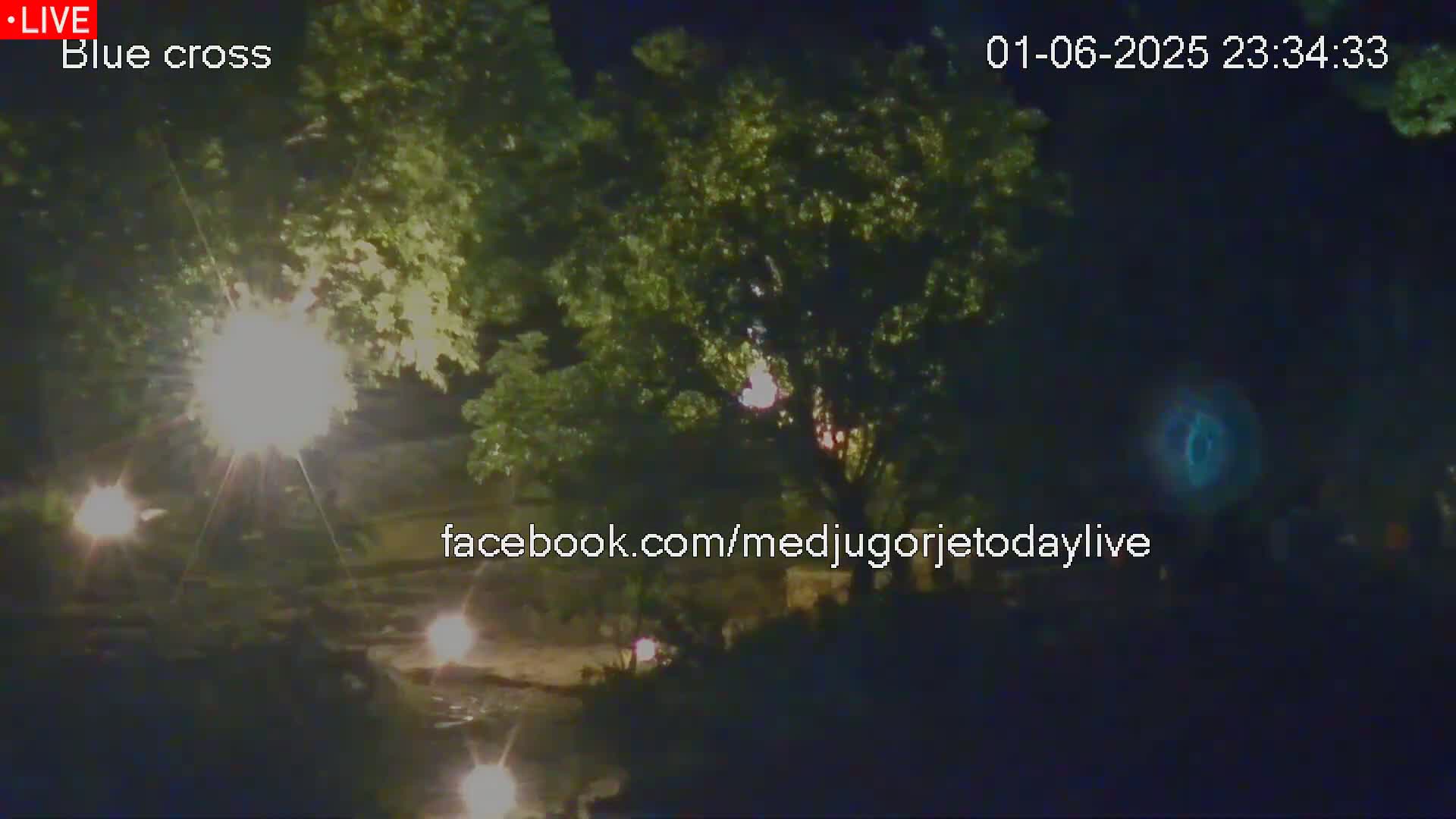A nighttime view shows leafy trees illuminated by artificial lights near a body of water.