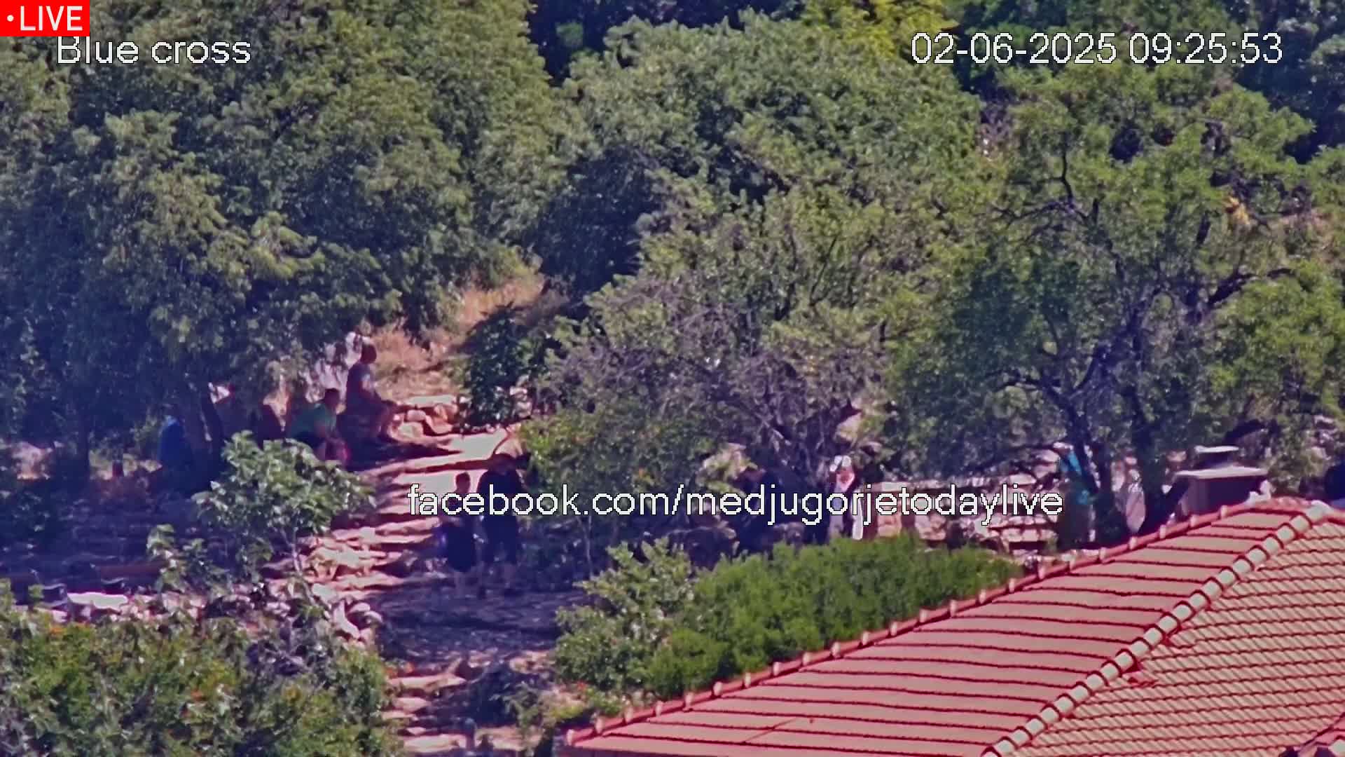 A high-angle, long shot shows a group of people gathered on a stone path amidst lush green trees and shrubs on a sunny day, with a portion of a red-tiled roof visible in the foreground.