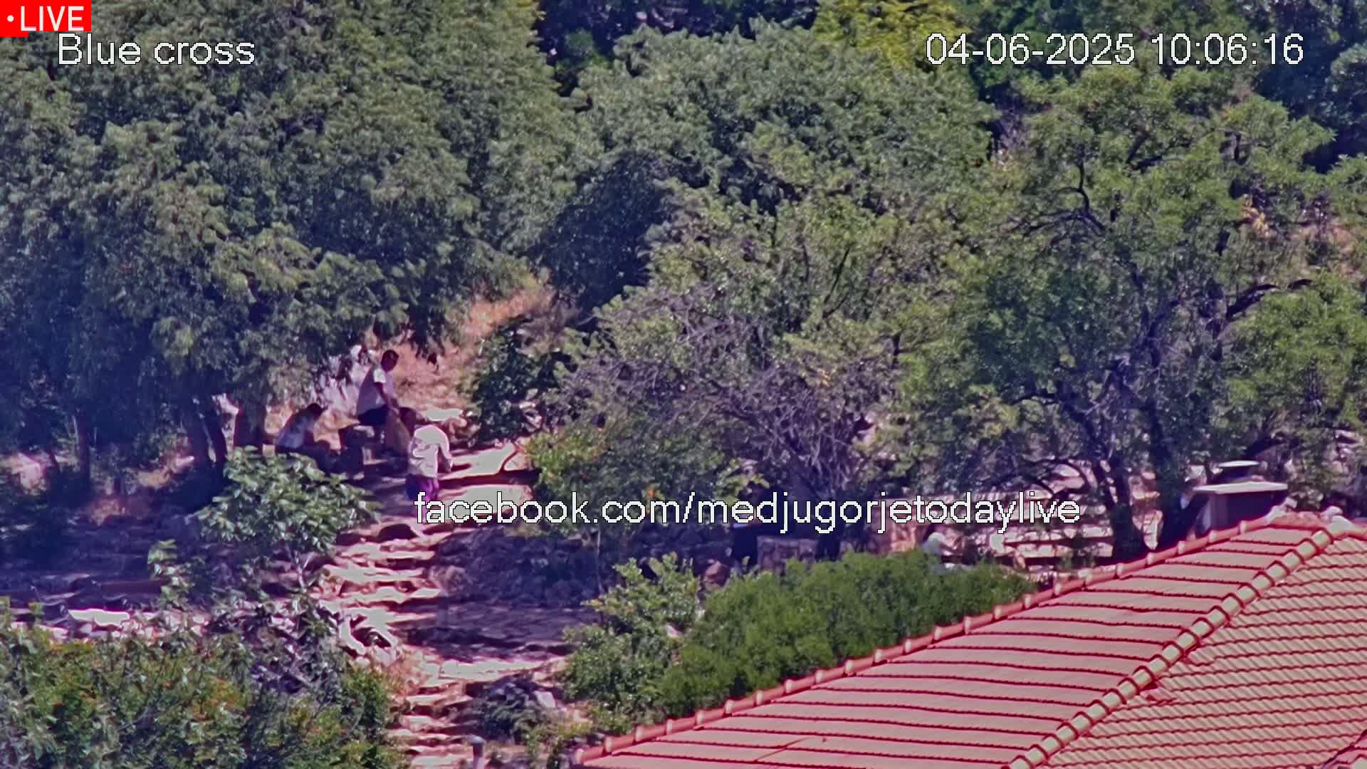 A high-angle, long shot shows a group of people walking up a stone staircase surrounded by lush green trees on a sunny day.