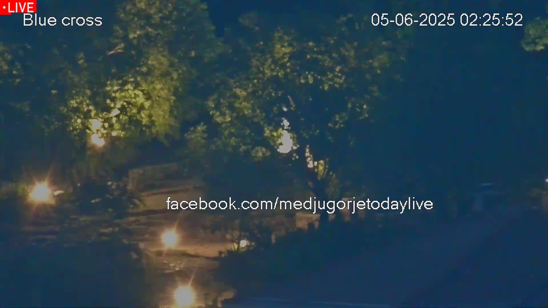 A nighttime, low-light view shows leafy green trees and a dimly lit roadway.