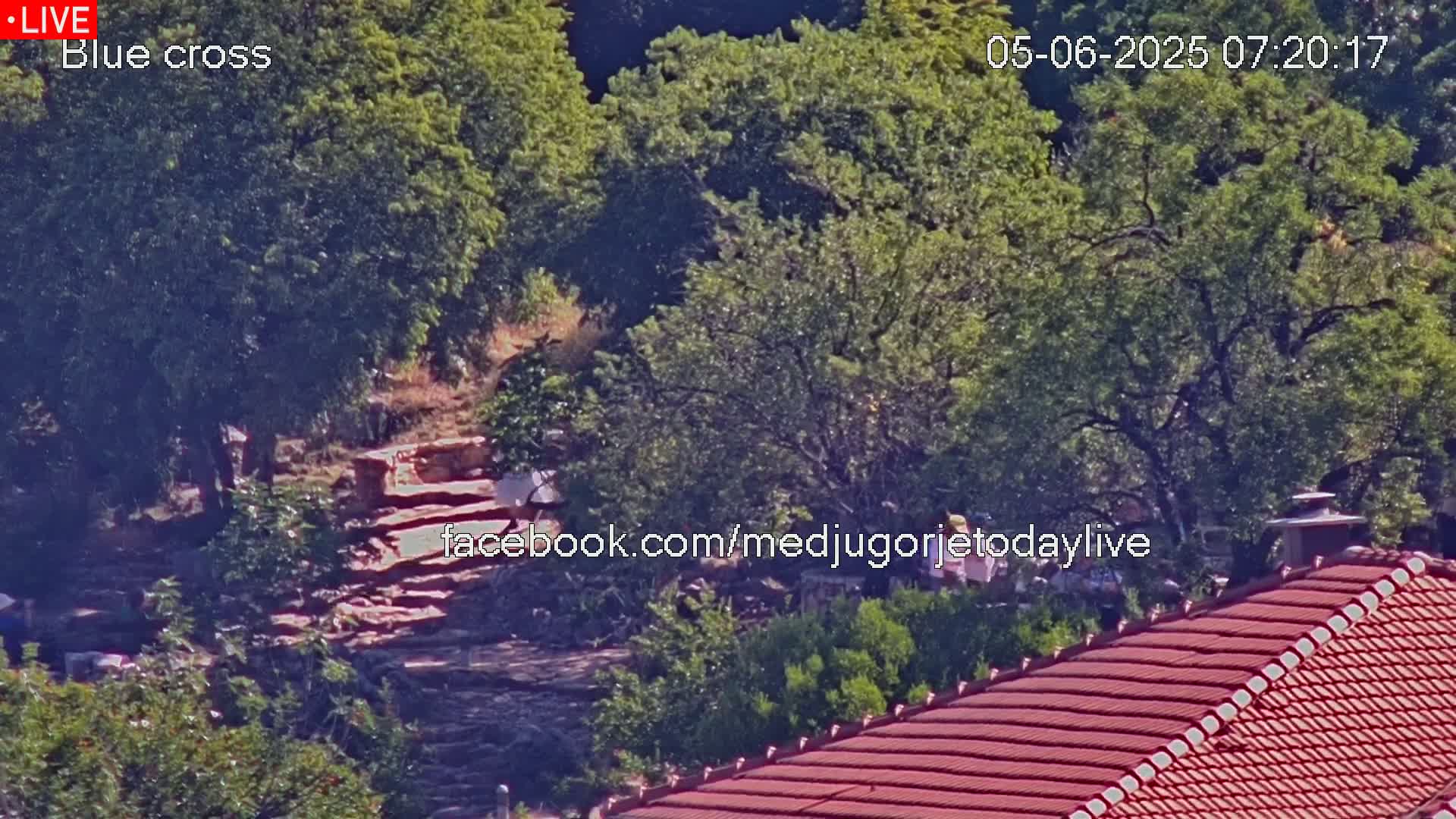 A high-angle view shows a stone staircase descending into a lush, green, tree-filled landscape on a sunny day, with a red-tiled roof partially visible in the bottom right corner.