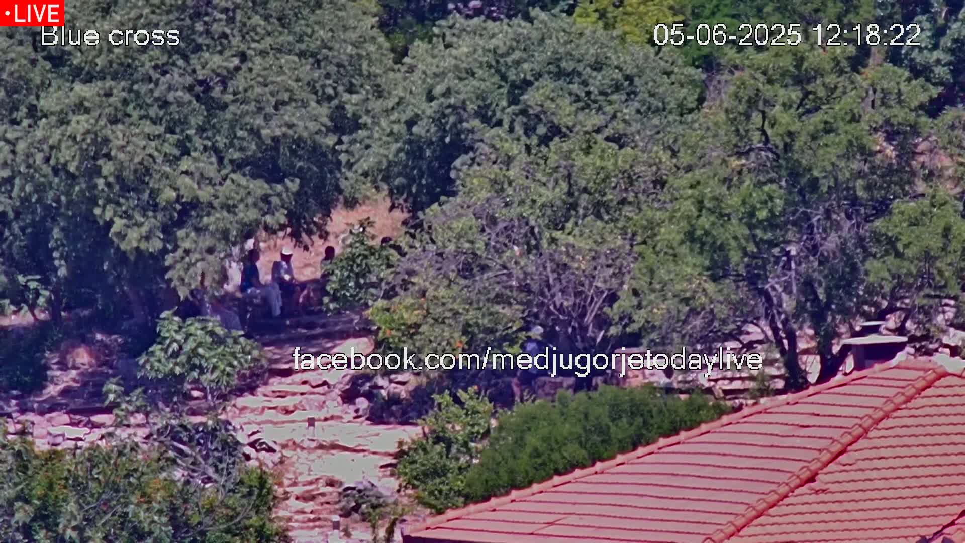 A high-angle, long shot shows a group of people gathered near some stone steps amidst lush green foliage under a bright, sunny sky.