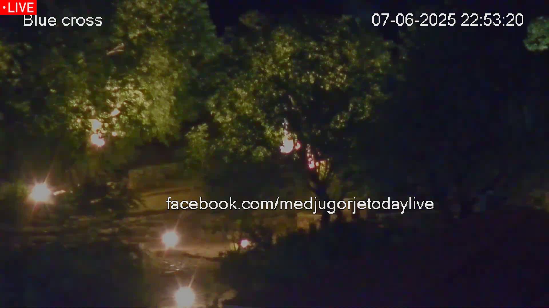 A nighttime view shows lush green trees illuminated by scattered lights, with a dark, possibly paved, area visible below.