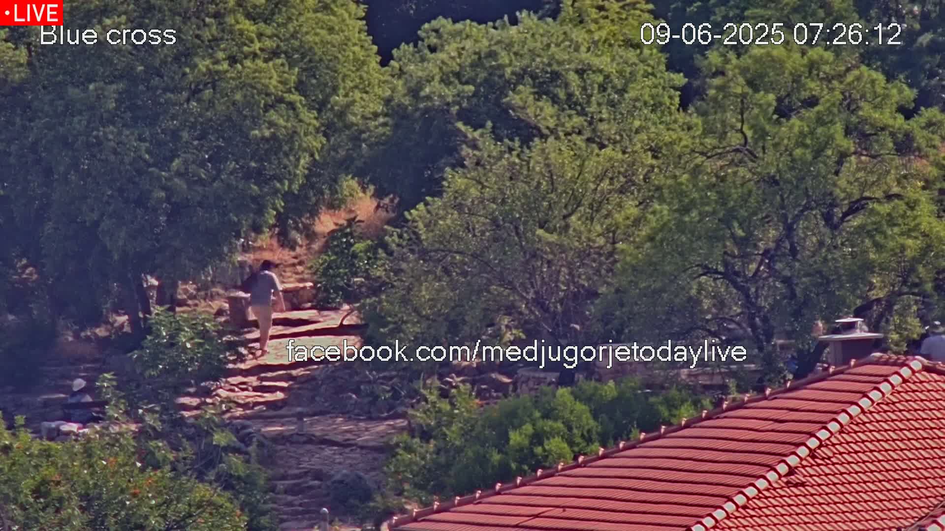 A person walks up a stone path through a sunlit, green, wooded area overlooking a red tile roof.