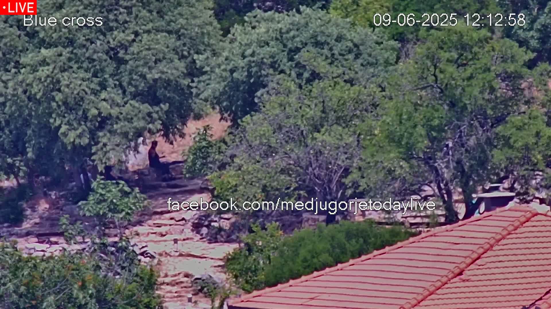 A high-angle, long shot shows two people sitting in the shade of trees near a stone staircase and a red-tiled roof, on a sunny day.