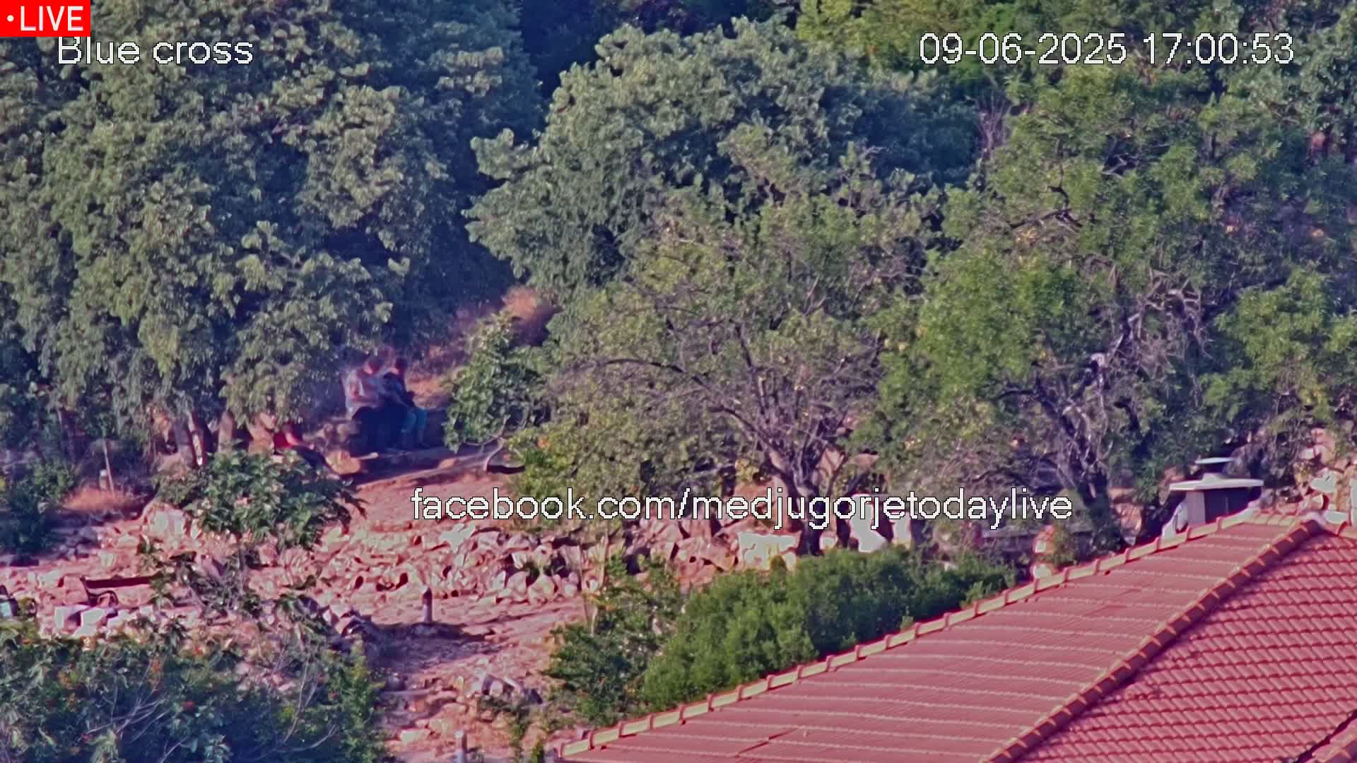 A high-angle view shows a pile of rubble near several leafy green trees and a reddish-brown tiled roof, under a sunny sky.