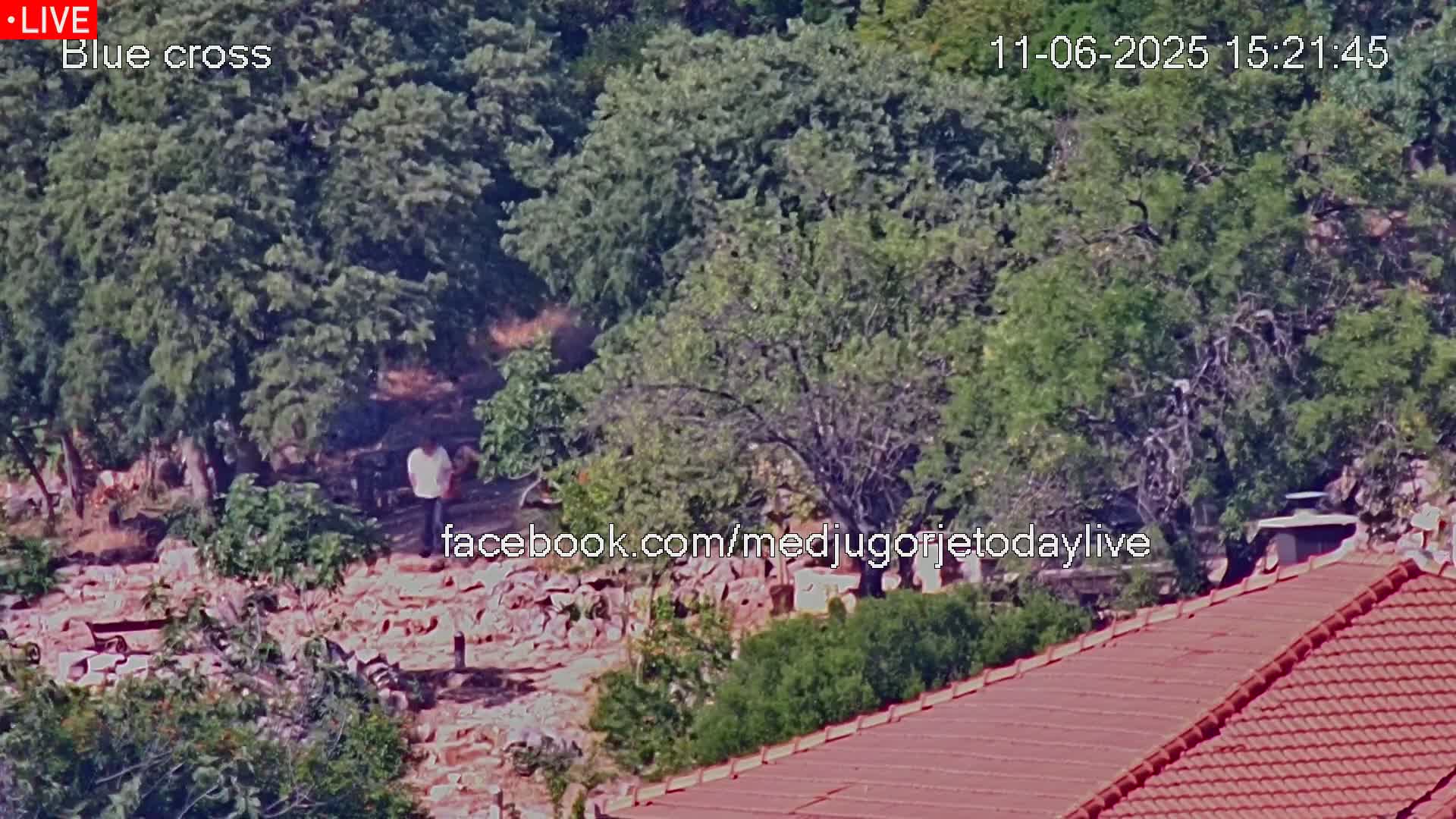 A person stands in a wooded area near a pile of rocks and a red-tiled roof under a sunny sky.