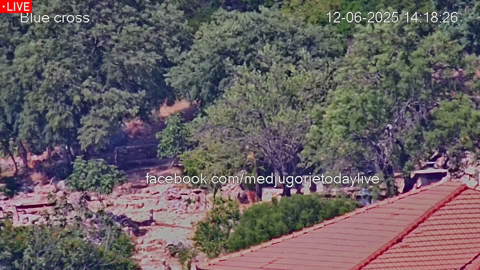 A high-angle view shows a rocky area partially covered by lush green trees and vegetation, with a red-tiled roof visible in the bottom right corner under a sunny sky.