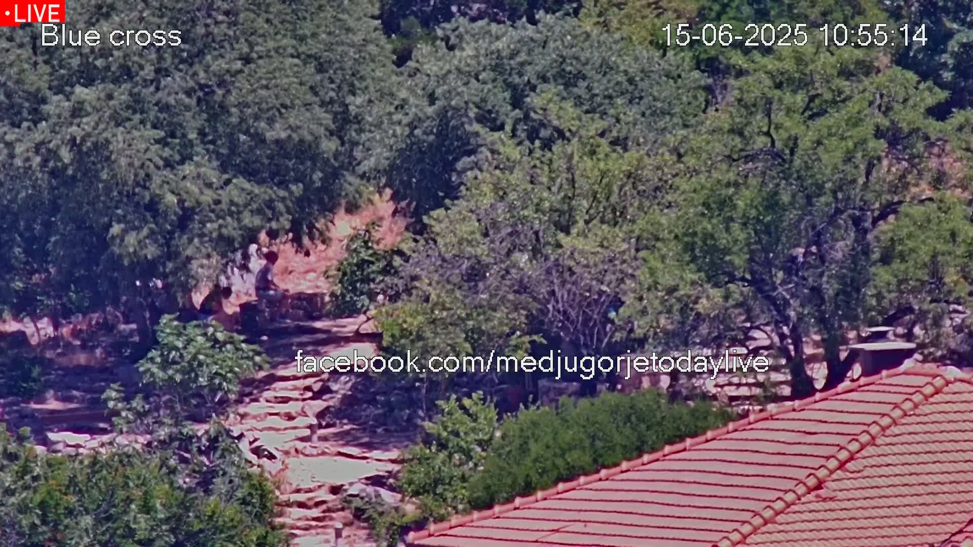A high-angle view shows several people sitting in the shade of trees near stone steps on a sunny day.