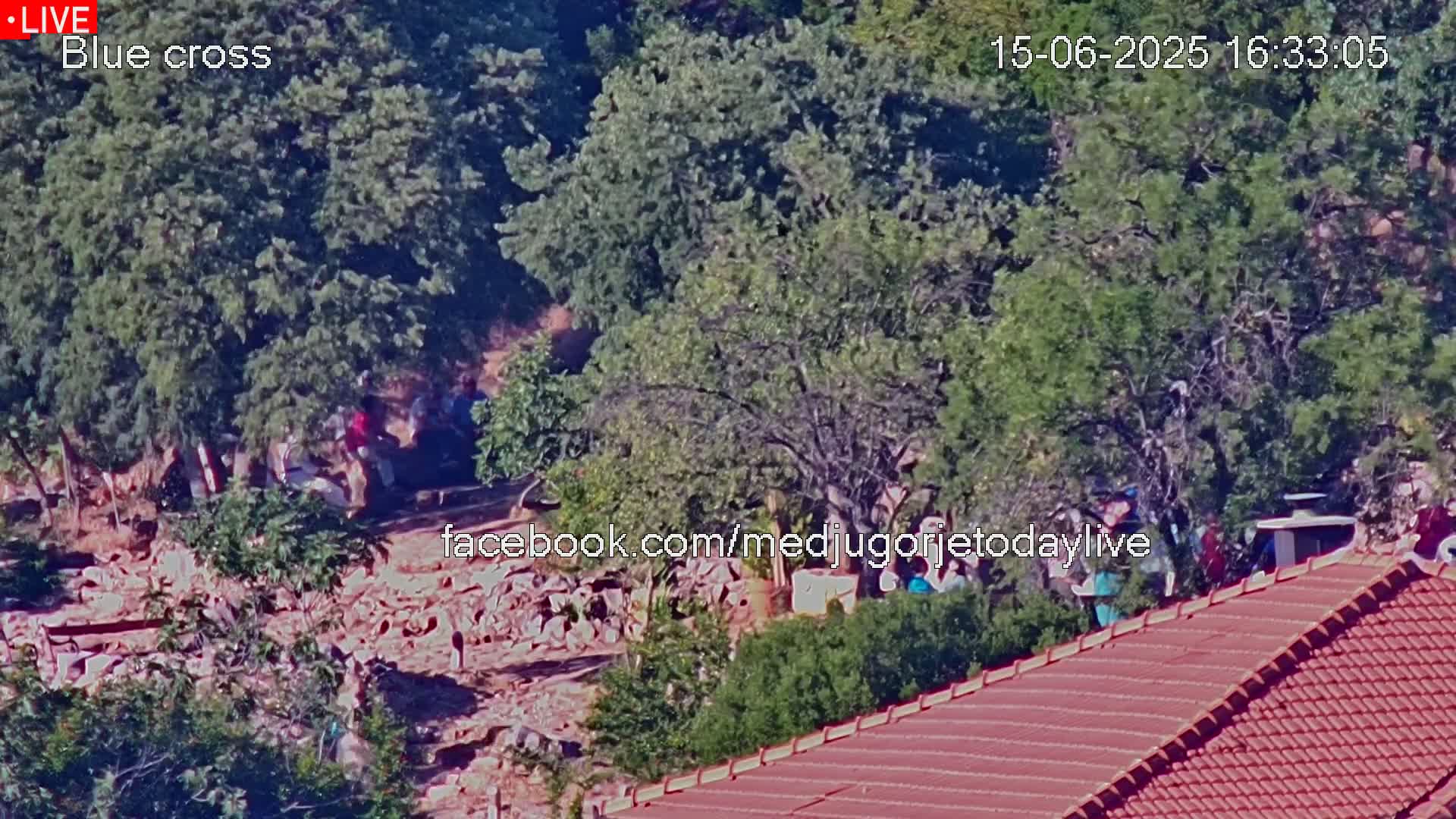 A high-angle view shows a pile of rubble near several people gathered amongst green trees on a sunny day.