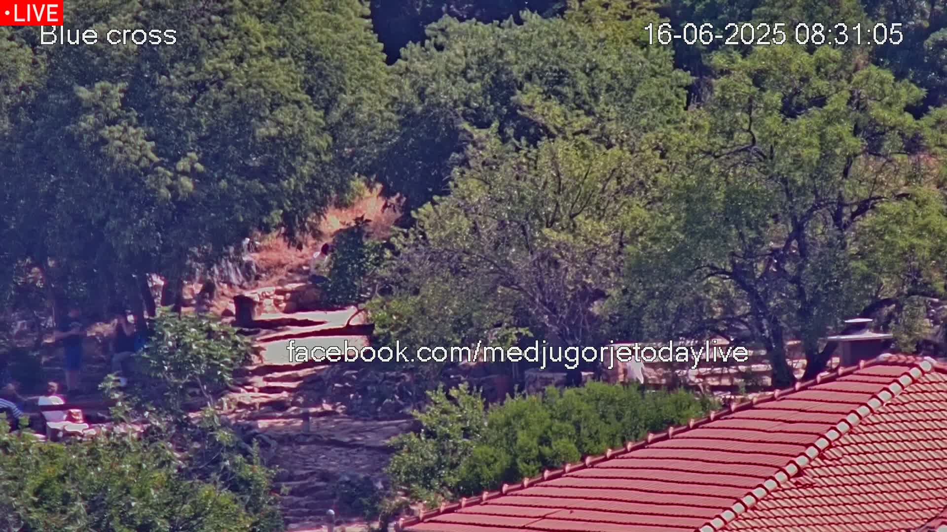 A high-angle, long shot shows a sunny outdoor scene of a stone path winding through lush green trees and shrubs, with a red-tiled roof visible in the bottom right corner.
