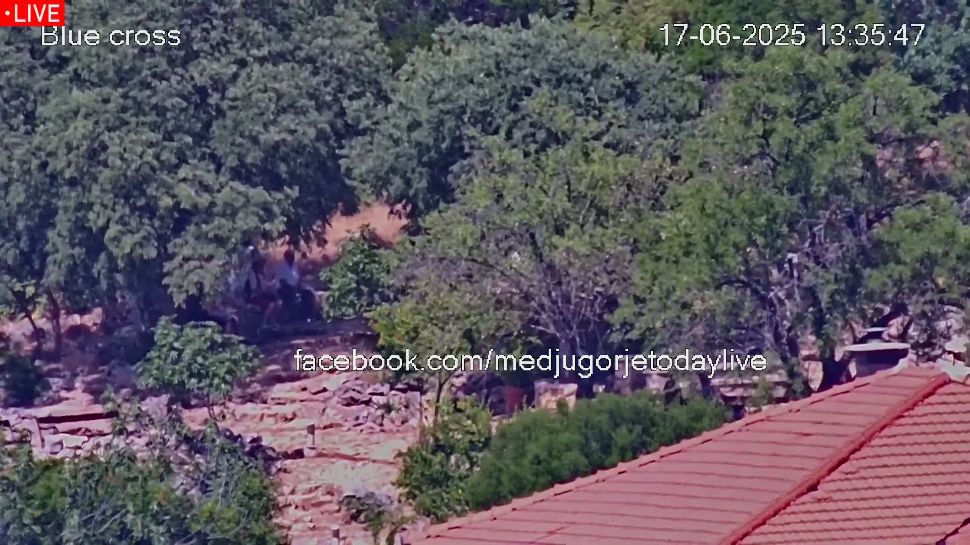 A high-angle, long shot shows a rocky area partially covered by lush green trees under a sunny sky, with a red-tiled roof in the bottom right corner.