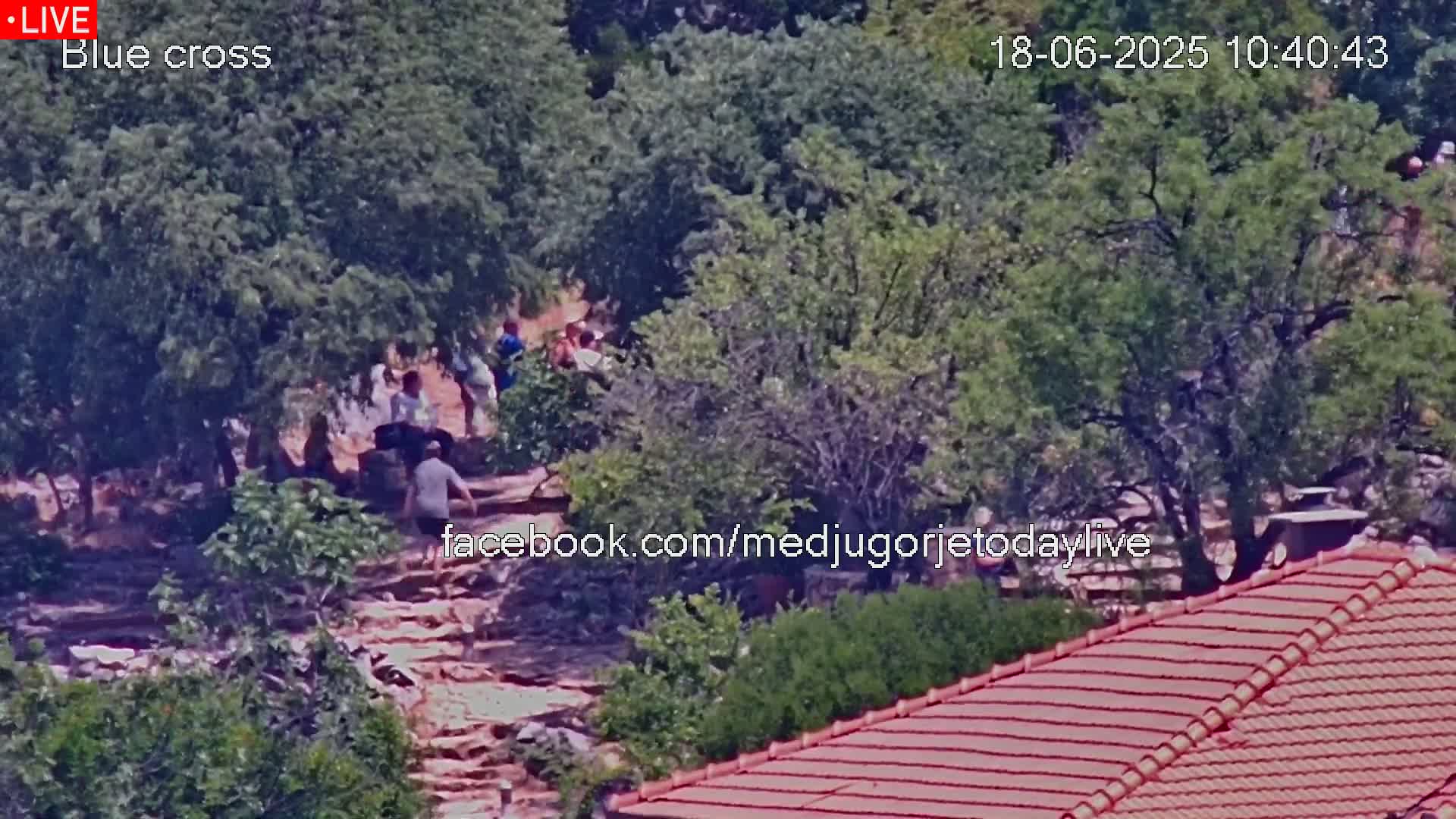 A high-angle, long shot shows several people gathered on a stone staircase amidst lush green vegetation on a sunny day.