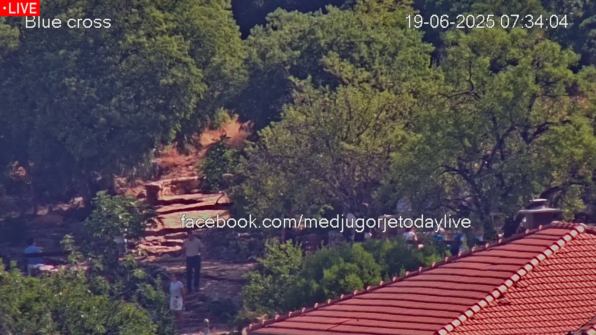 A high-angle, sunny-day view shows a stone staircase leading up through a grove of leafy green trees to a group of people, with a red-tiled roof in the foreground.