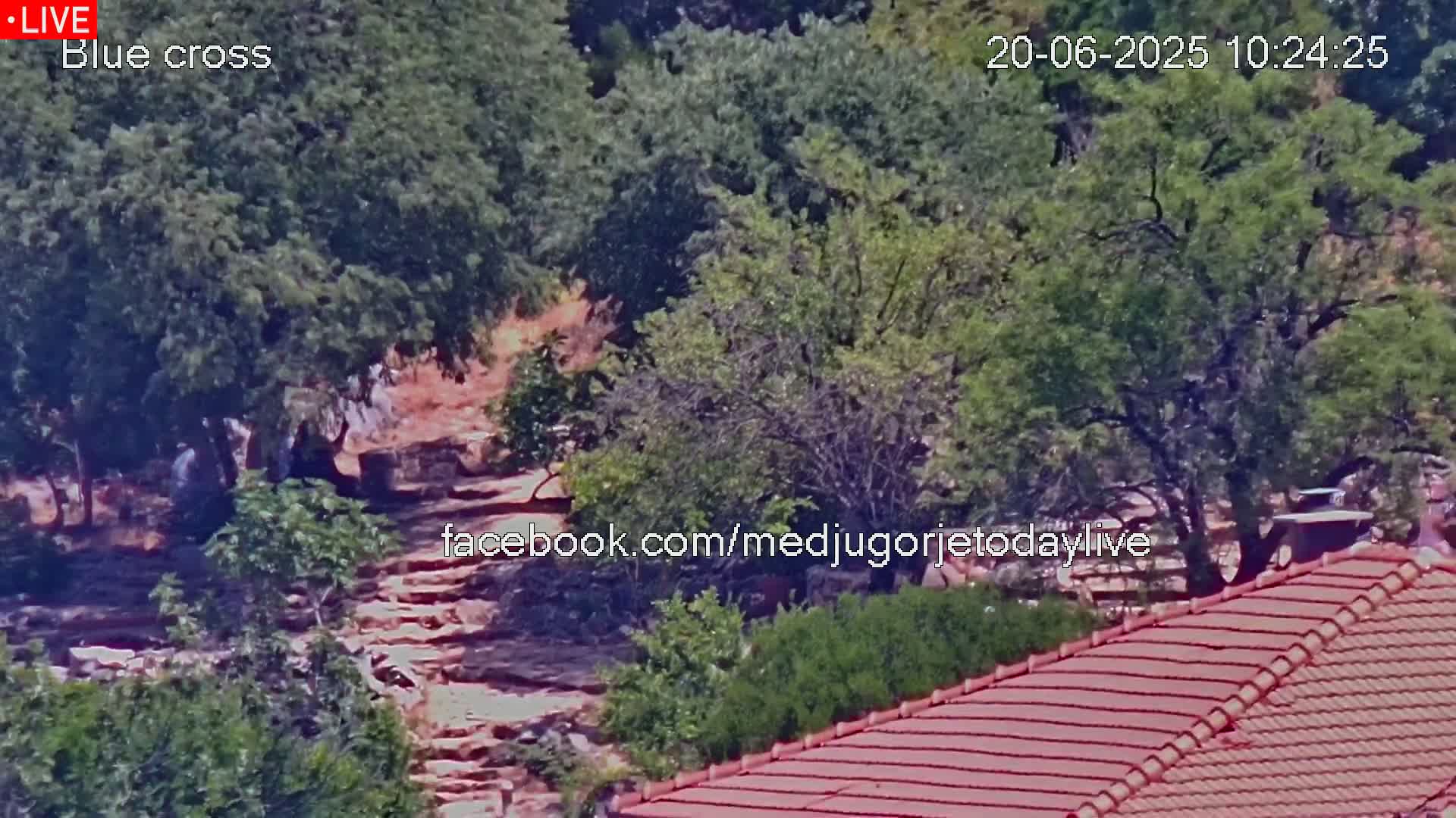 A stone staircase winds through a leafy, sunlit hillside, partially obscured by trees and the red tile roof of a building.