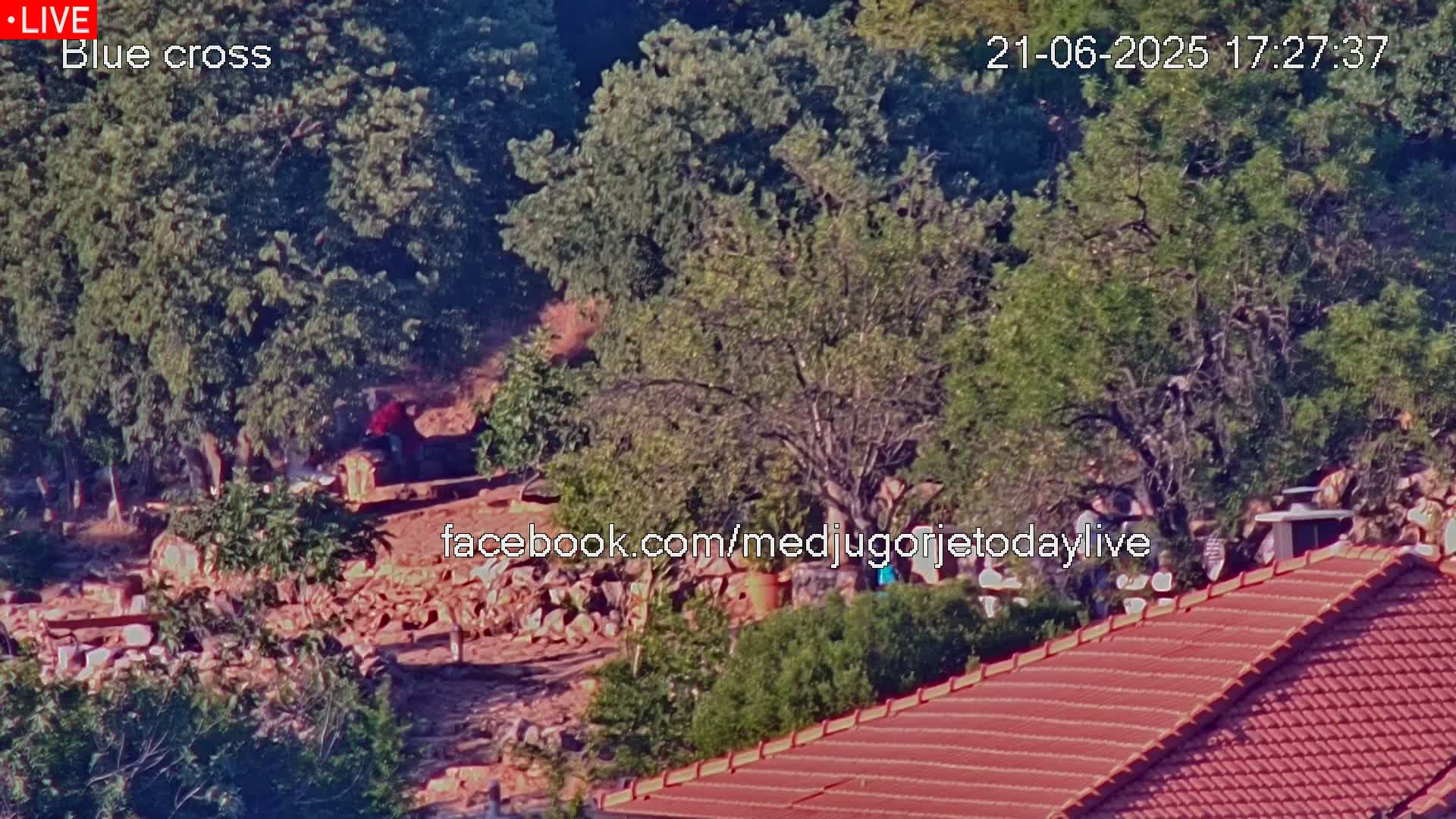 A high-angle, long shot shows a sunlit hillside covered in green trees and shrubs, with a reddish-brown roof of a building in the foreground and a few people visible among the foliage.