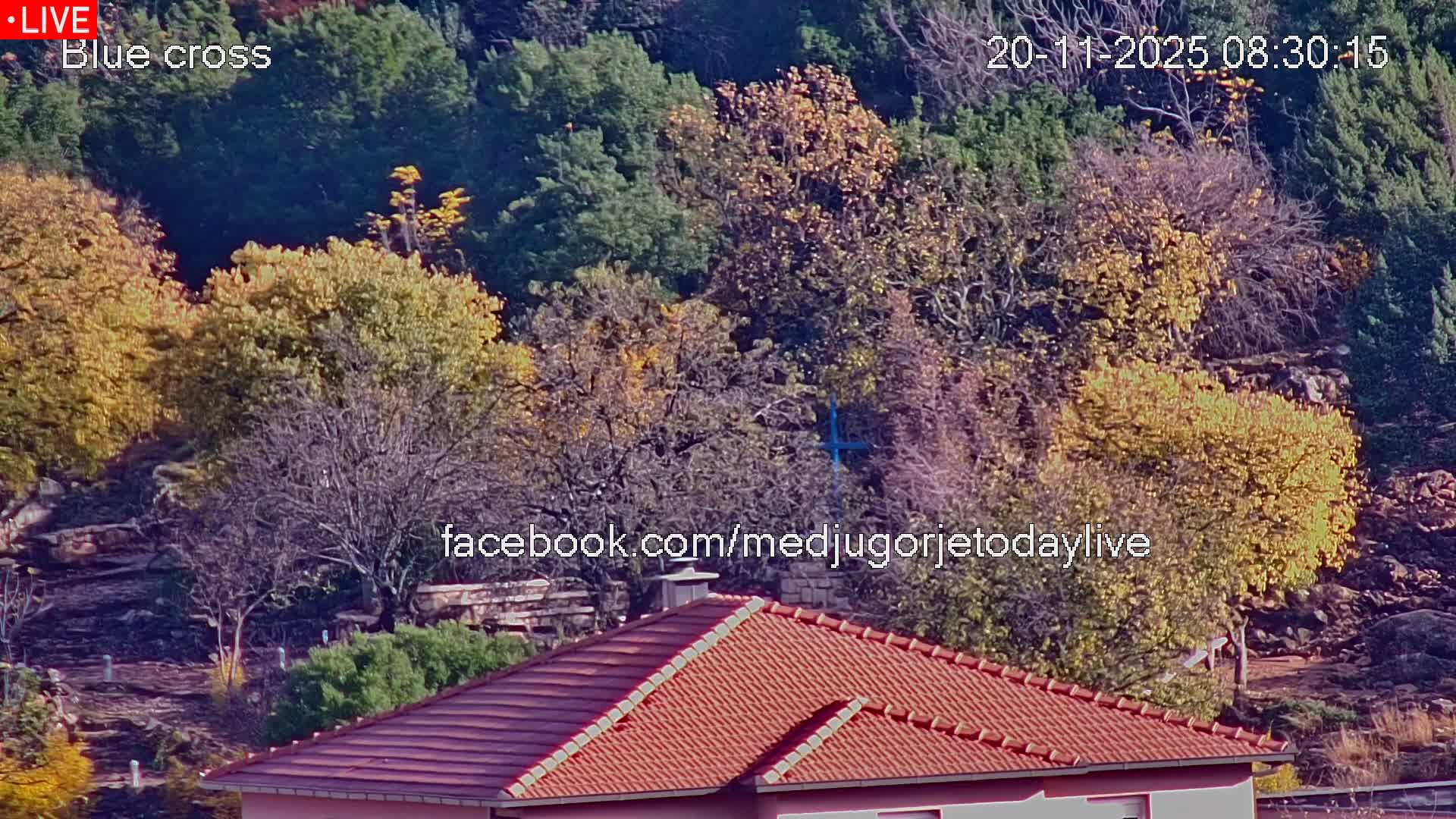 A vibrant autumn landscape features a red-tiled roof in the foreground, with a hillside behind it densely covered in a mix of colorful deciduous and evergreen trees, all bathed in clear, sunny weather.