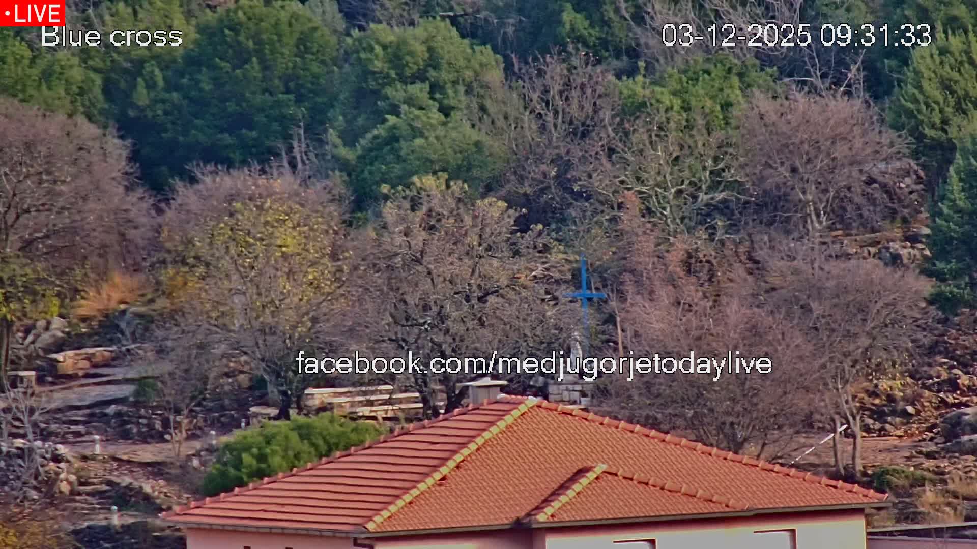 A vibrant red-tiled roof is visible in the foreground, framing a hilly, wooded landscape dominated by a mix of bare deciduous and green evergreen trees, with a prominent blue cross situated amidst the trees under bright, clear daylight.
