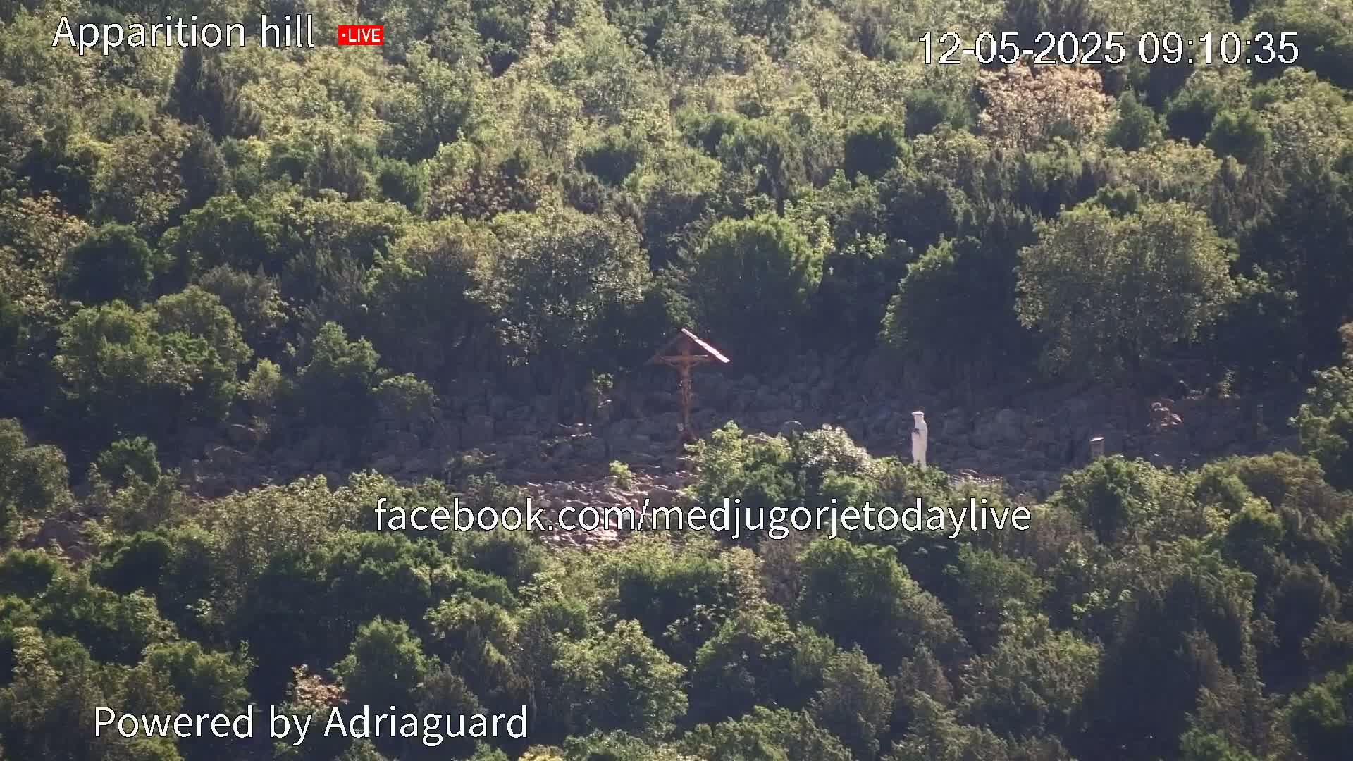A rocky hillside covered in green vegetation features a crucifix and statue.
