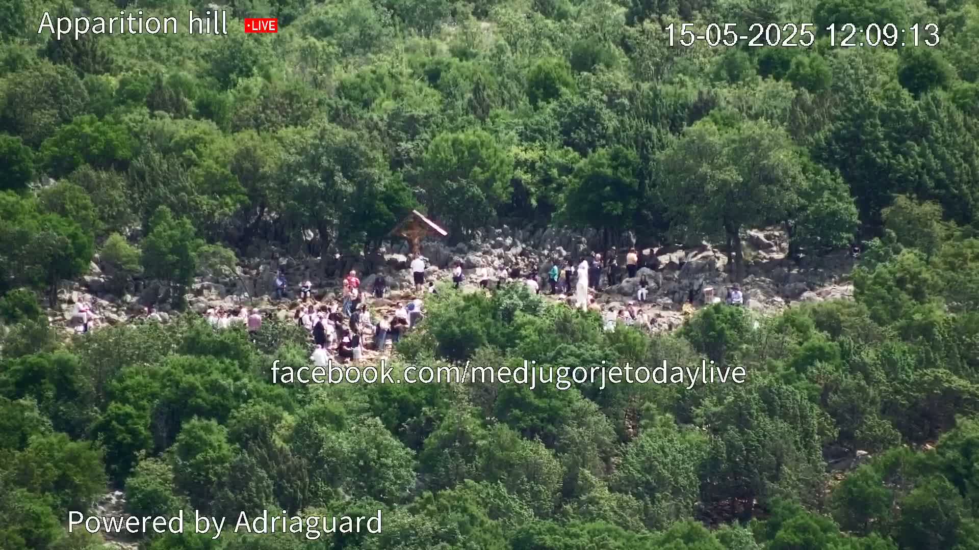 A large group of people gathers on a rocky hillside covered in lush green vegetation under a sunny sky.