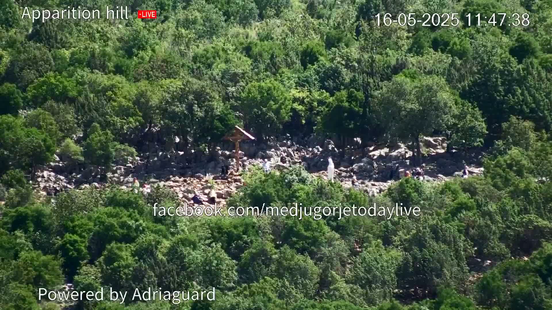 A rocky hillside covered in lush green vegetation, with a small group of people gathered around a cross near the top.