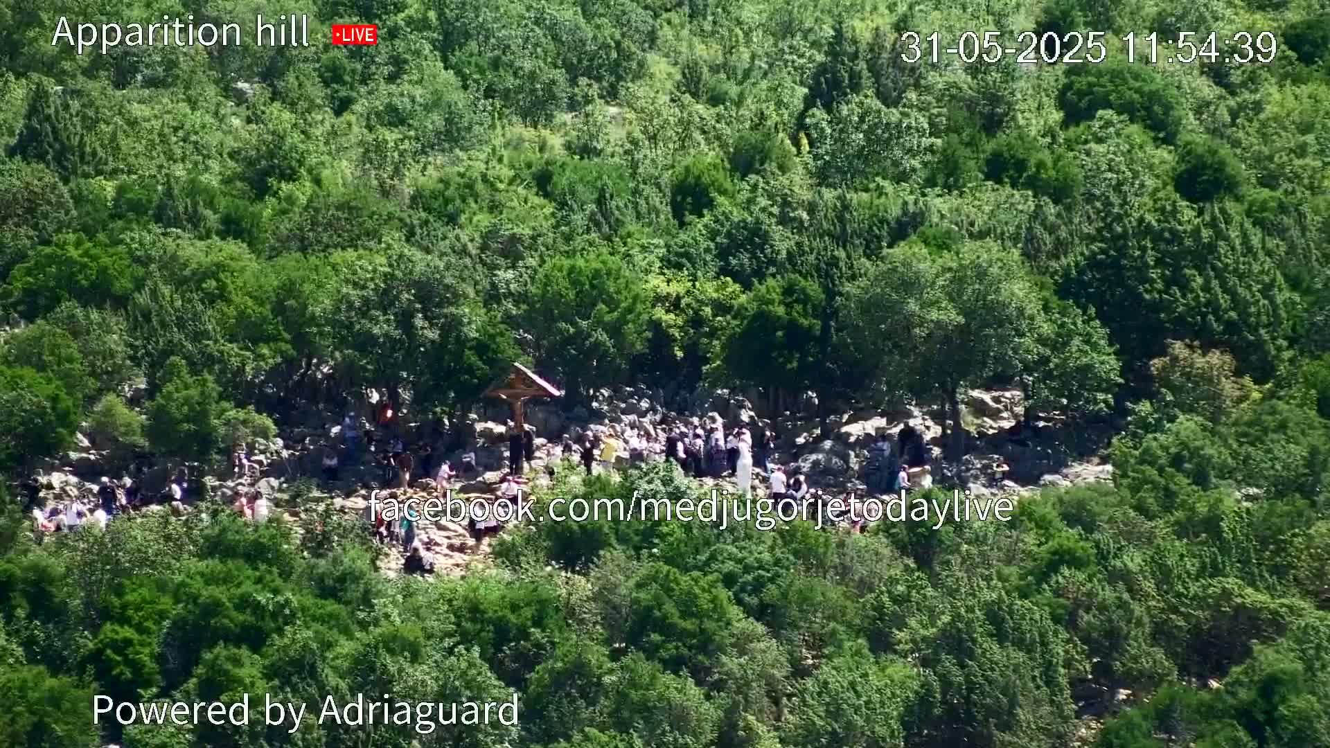 A large group of people gathers on a rocky hillside covered in lush green vegetation under a sunny sky.