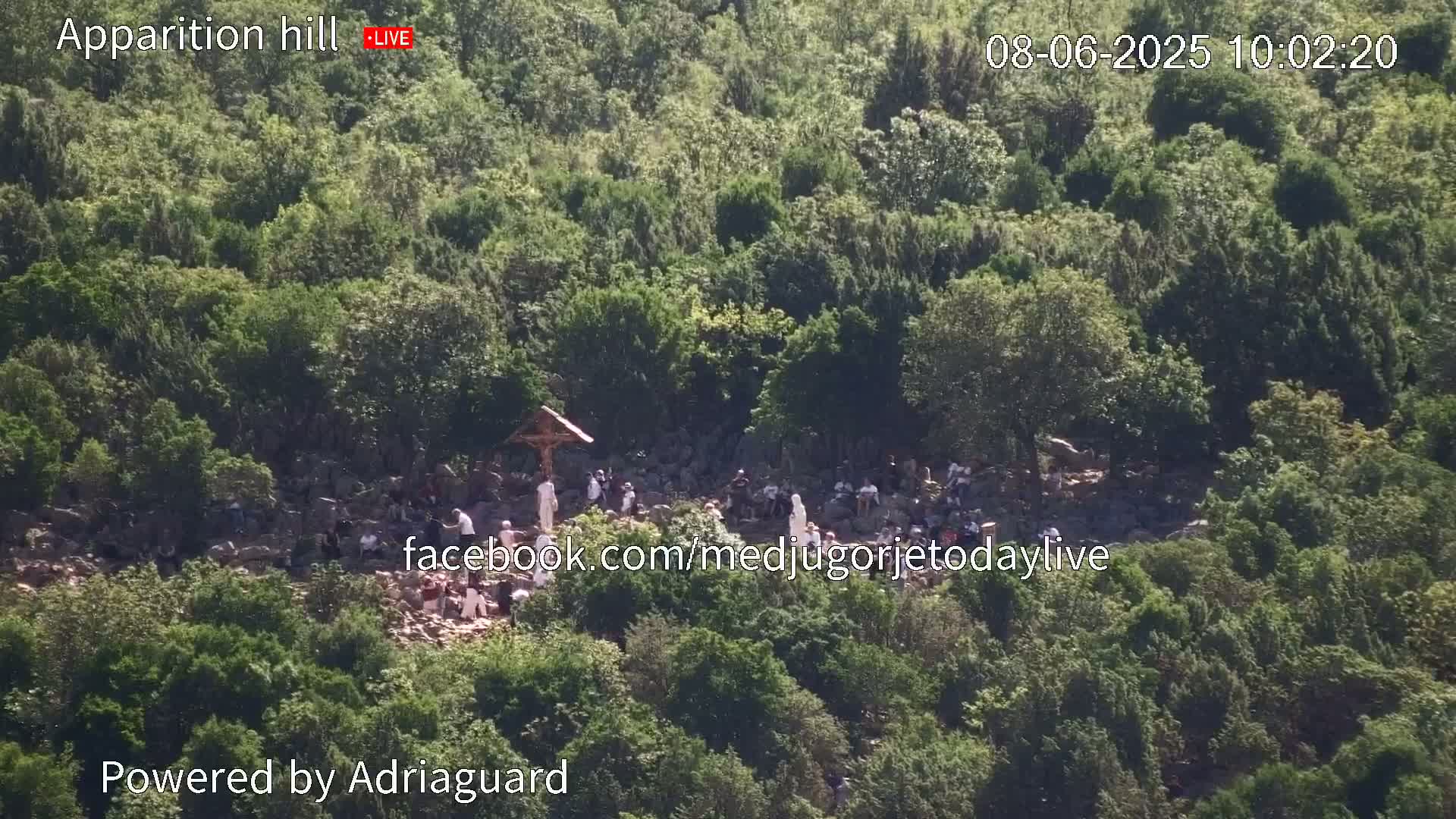 A group of people are gathered on a rocky hillside covered in green vegetation on a sunny day.
