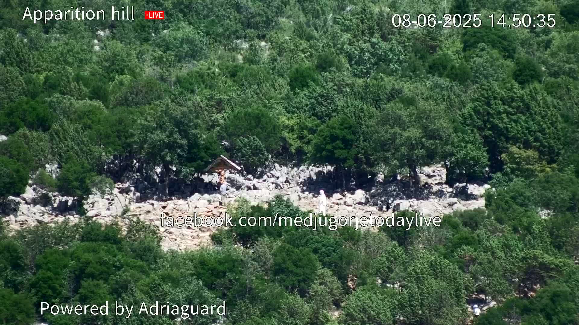 A rocky hillside covered in lush green trees and shrubs, with a small structure and a few people visible near its center.