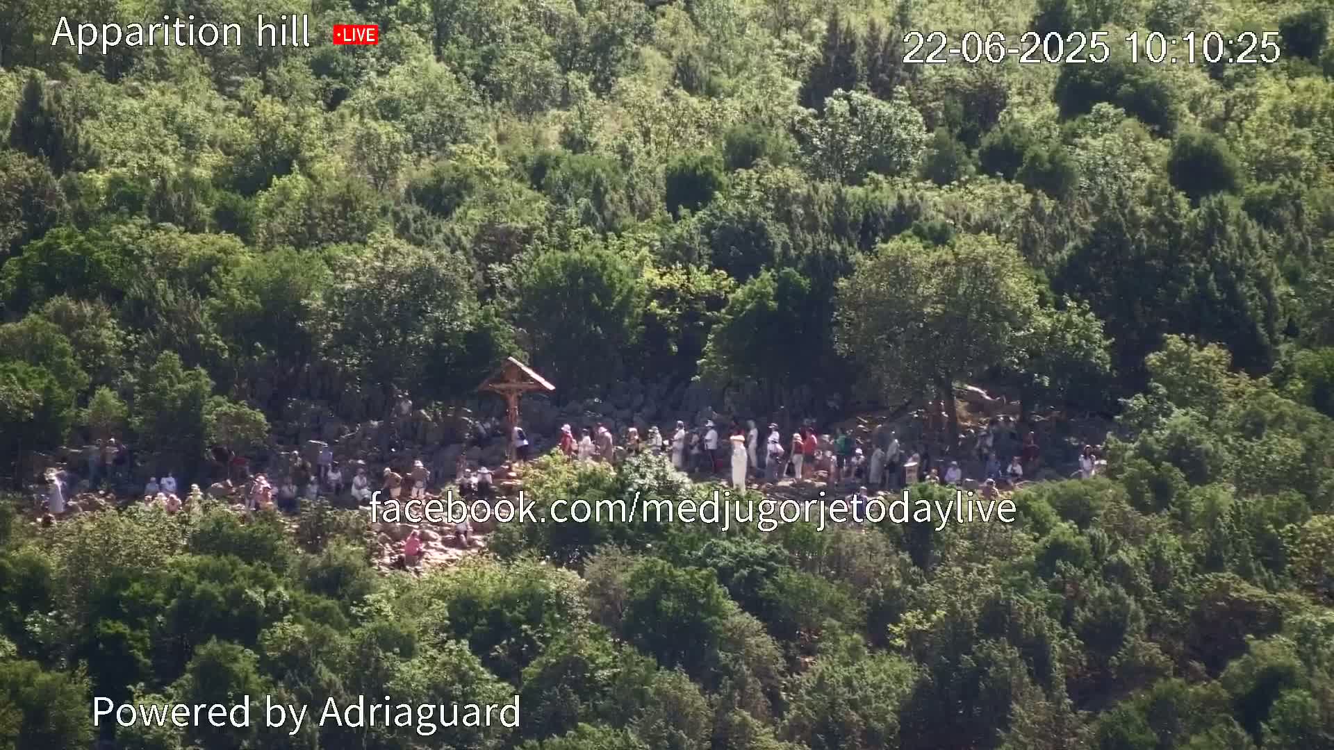 A large group of people gathers on a hillside covered in lush green vegetation under a sunny sky.