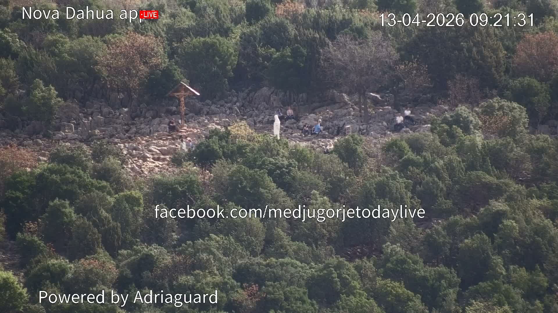 A crowd of people gathers on a rocky hillside covered in green trees under a bright, sunny sky.