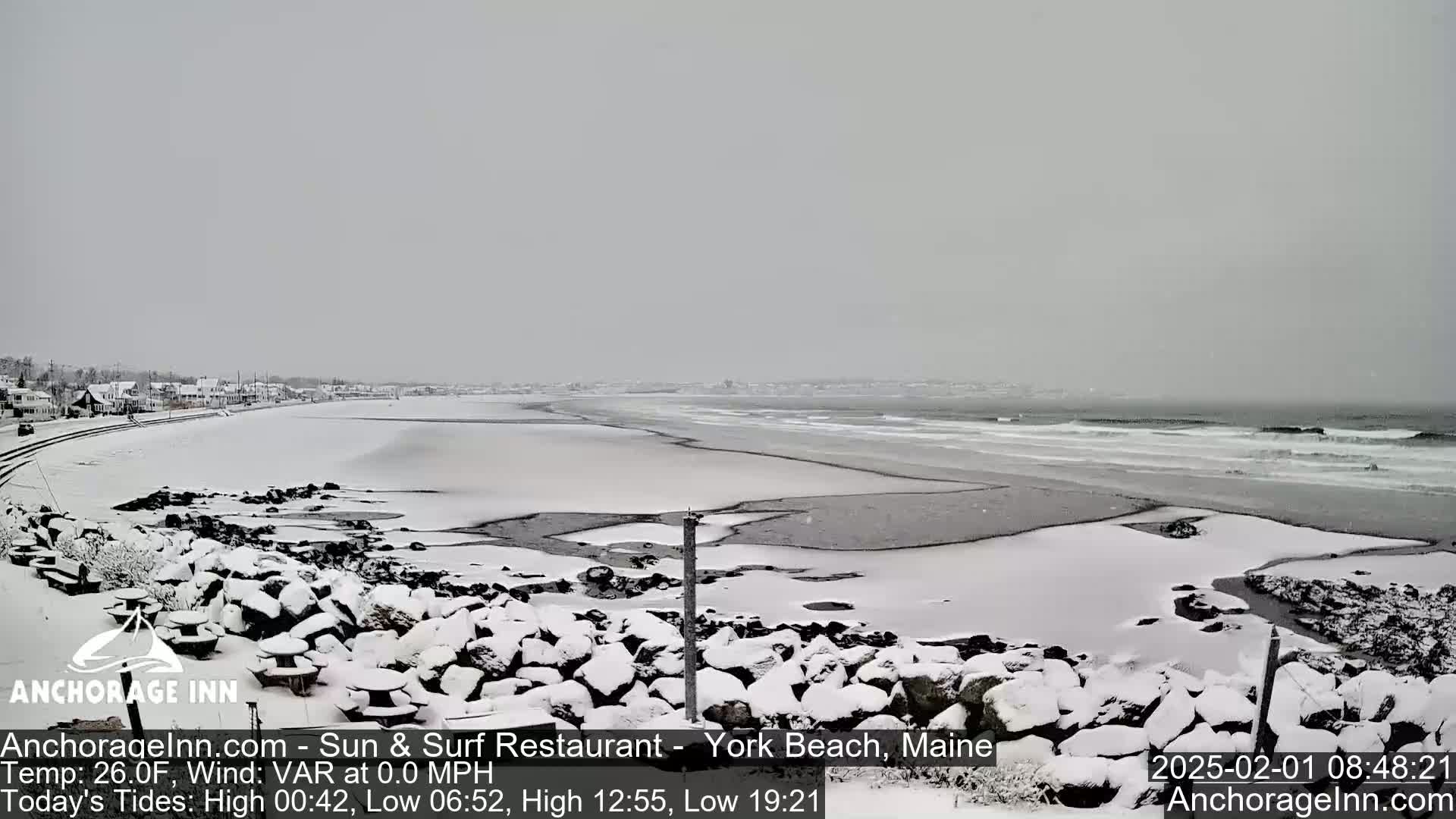 A snow-covered beach with a calm ocean and a line of houses in the distance under an overcast sky.