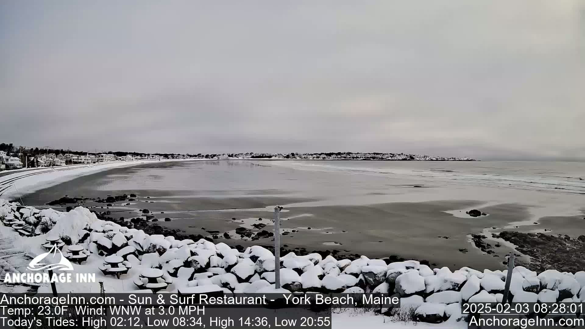 A snow-covered rocky shoreline overlooks a calm, gray ocean with a snow-dusted beach and distant buildings under an overcast sky.